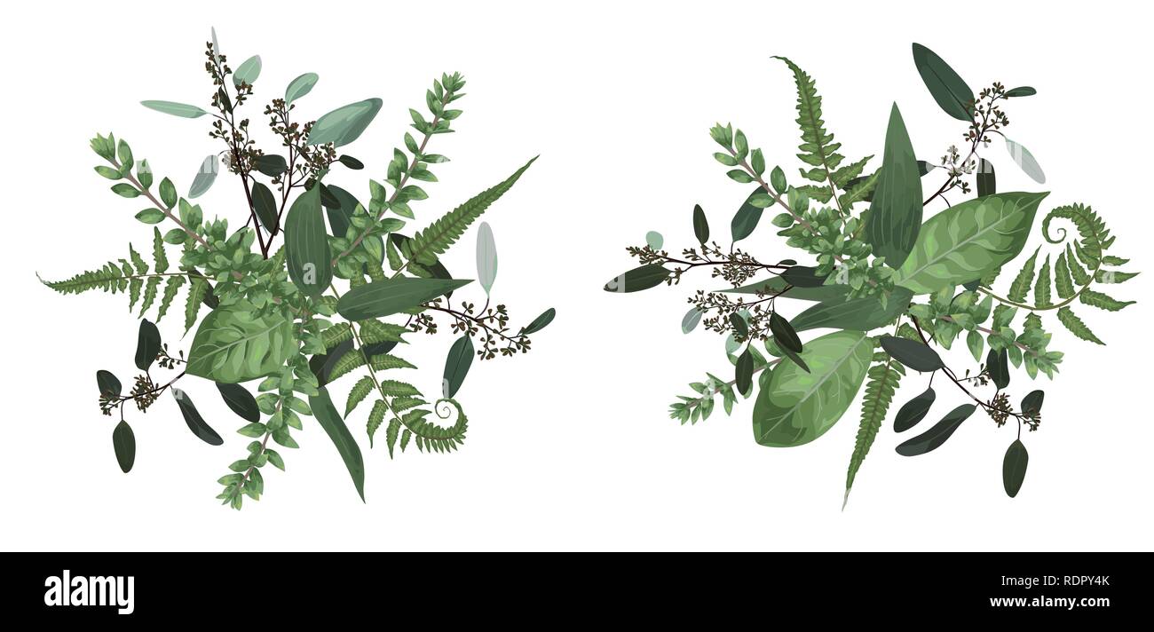 Vettore bouquet floreale set design, foresta verde foglia di felce, rami legno di bosso, Buxus, eucalipto. Stile acquarello, erbe aromatiche. Nozze per invitare card Isola Illustrazione Vettoriale