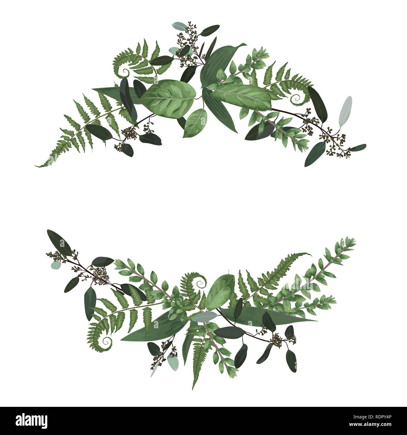 Bouquet floreale set design, foresta verde foglia di felce, rami legno di bosso, Buxus, eucalipto. Stile acquarello, erbe aromatiche. Nozze per invitare isolato la scheda des Illustrazione Vettoriale