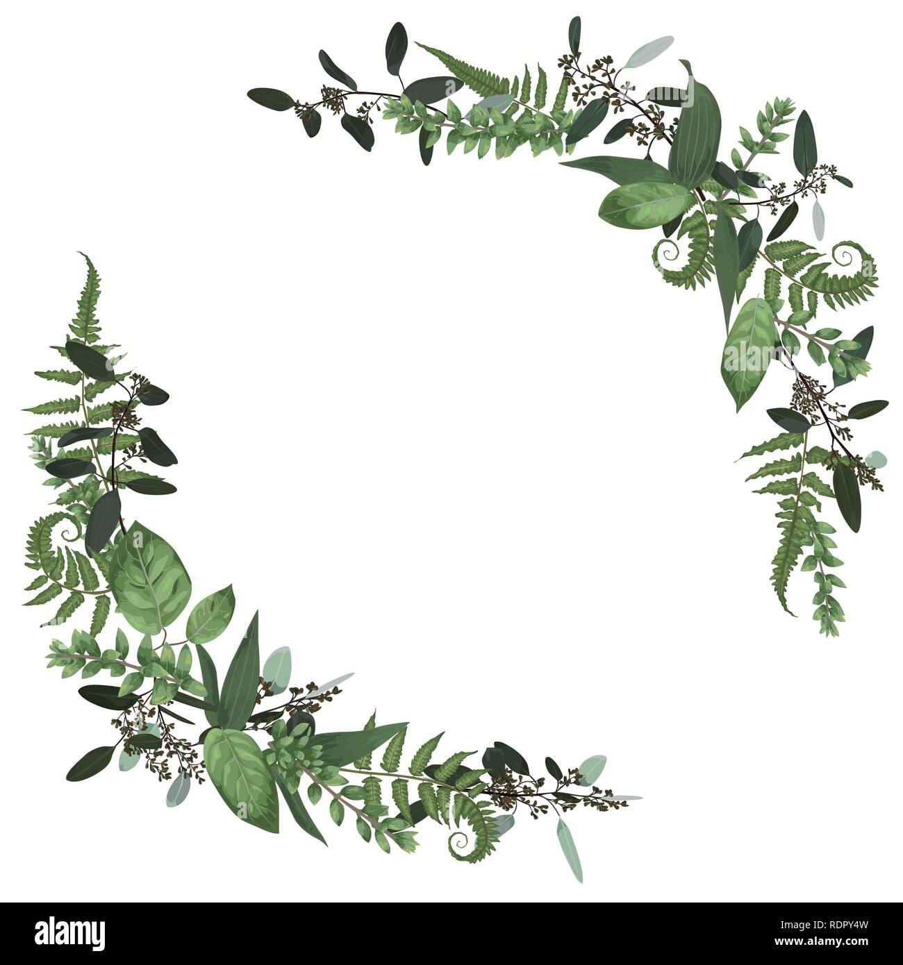 Bouquet floreale set design, foresta verde foglia di felce, rami legno di bosso, Buxus, eucalipto. Stile acquarello, erbe aromatiche. Nozze per invitare isolato la scheda des Illustrazione Vettoriale