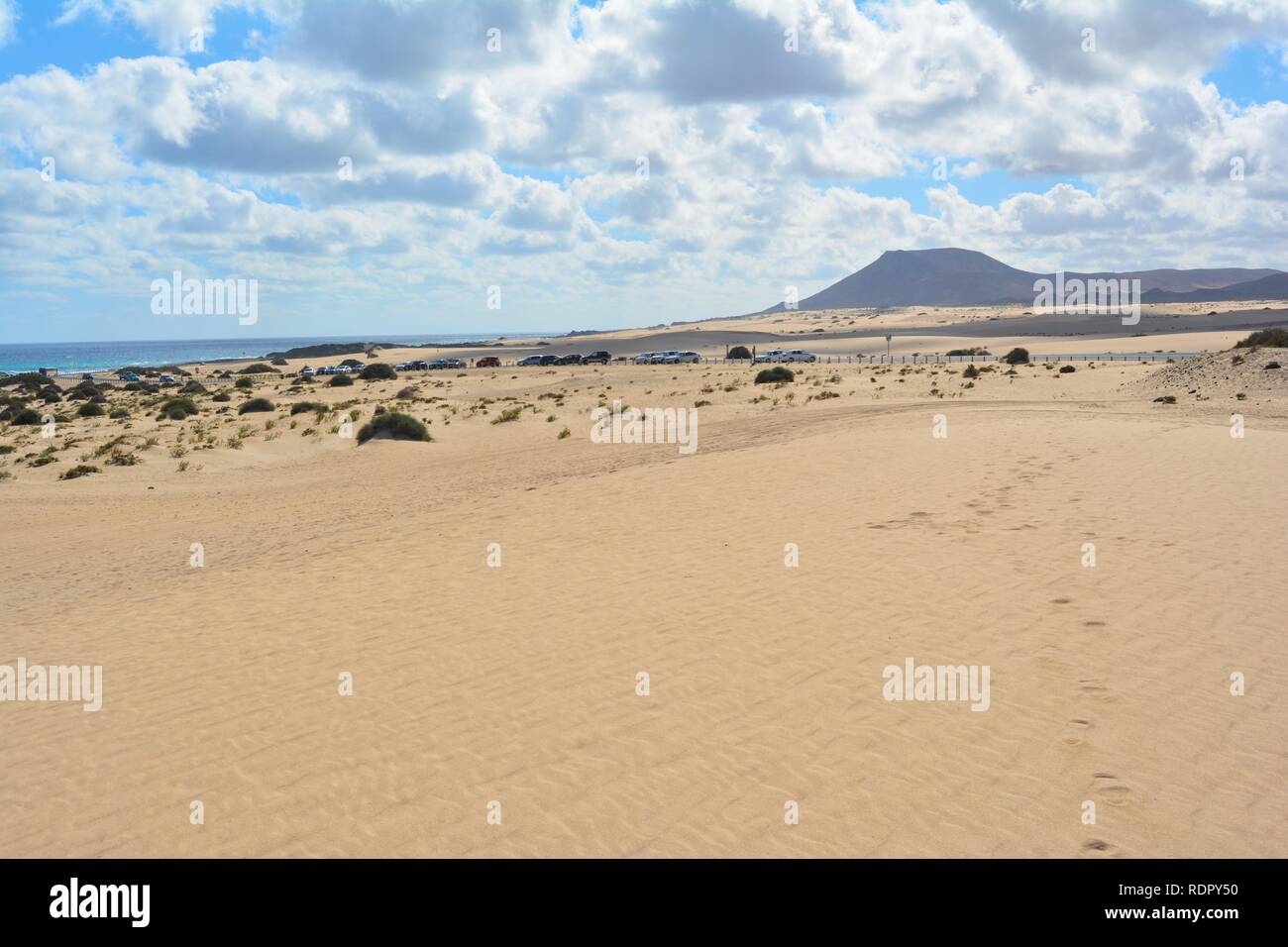 Le dune dorate del parco naturale sulla costa di Corralejo. Fuerteventura,Spagna. Foto Stock