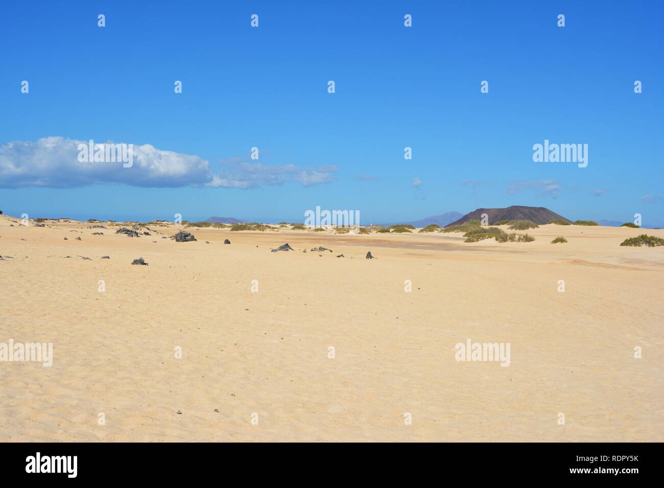 Le dune dorate del parco naturale sulla costa di Corralejo. Fuerteventura,Spagna. Foto Stock