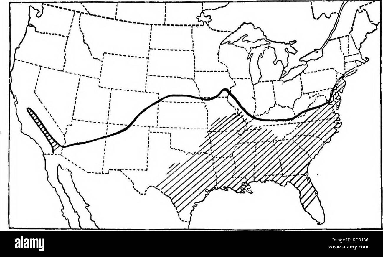 . La patata dolce; un manuale per il coltivatore di pratica. Patate dolci. 10 La patata dolce sezioni degli Stati Uniti, specialmente nella parte settentrionale e in aree occidentali. Distribuzione sebbene la patata dolce è cresciuto come un raccolto orto come lontano nord come il Sud del New York, Northern Illinois, central Iowa e Nebraska, la sua produzione commerciale, è confinata in gran parte a sud dell'Oceano Atlantico e la costa del Golfo membri. Una fiera commerciale è raccolto prodotto west- ward lungo la linea di confine tra gli Stati Uniti e il Messico che si estende in California centrale. (Fig. Il prodotto commerciale è sollevate principalmente in e Foto Stock