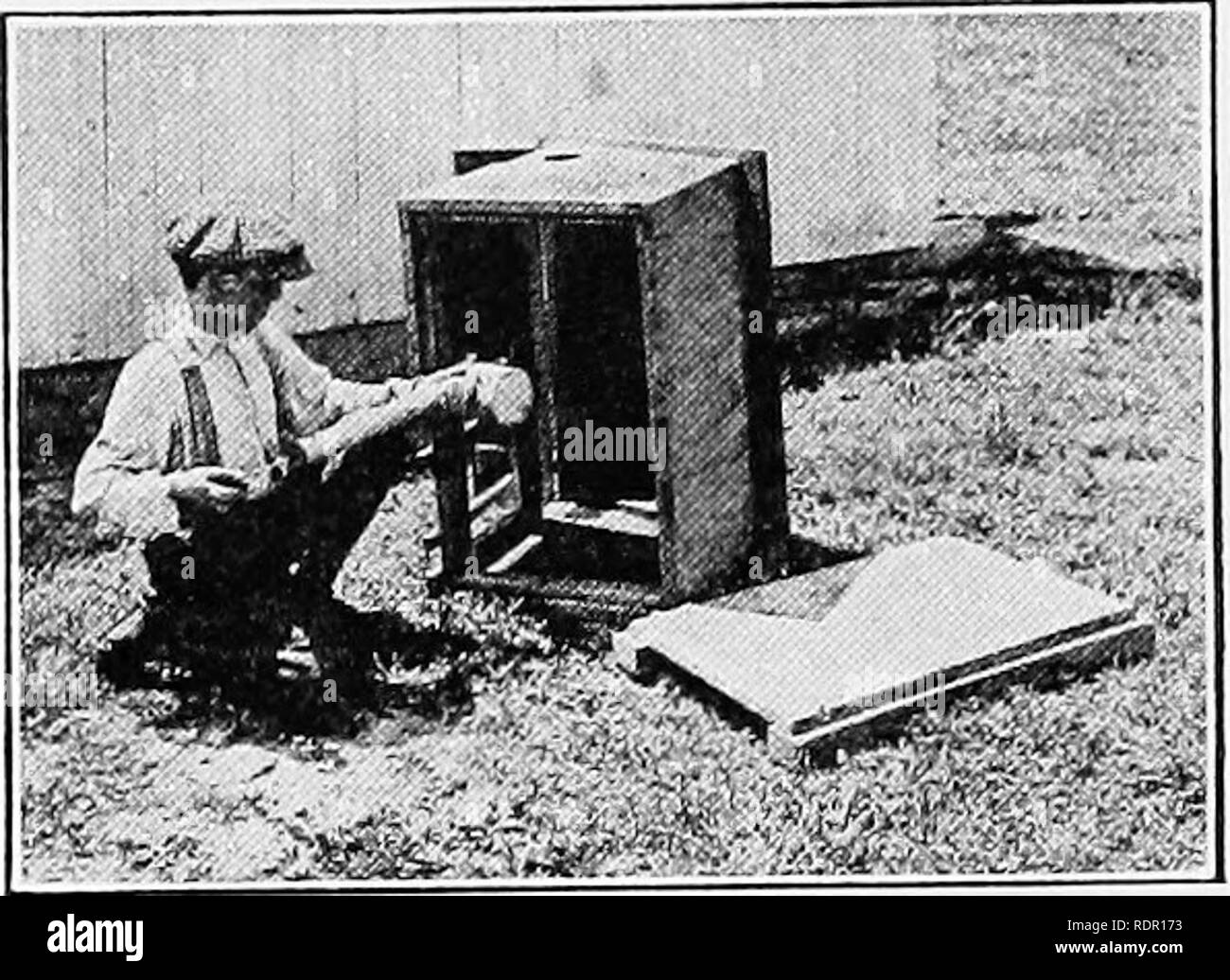 . Pratiche di produzione di pollame . Il pollame. 94 Pratico la produzione di pollame. Figura 92.-La covata coop dovrebbe essere thor- oughly pulito e spruzzato con cherosene o petrolio greggio per prevenire i pidocchi e acari. una volta alla settimana, compiendo ogni sforzo per mantenerlo libero da pidocchi acari aride. Da uno a due in- ches di sabbia o di trucioli o uno strato sottile di paglia o fieno tagliato dovrebbe essere sparsi sul pavimento della coop. Lo stesso dovrebbe essere fatto in brood- er case quando i metodi artificiali di cova sono utilizzati. La covata stie deve essere spostato in terreno fresco settimanalmente, preferibilmente dove vi è una gamma di erba. Ombra è molto Foto Stock