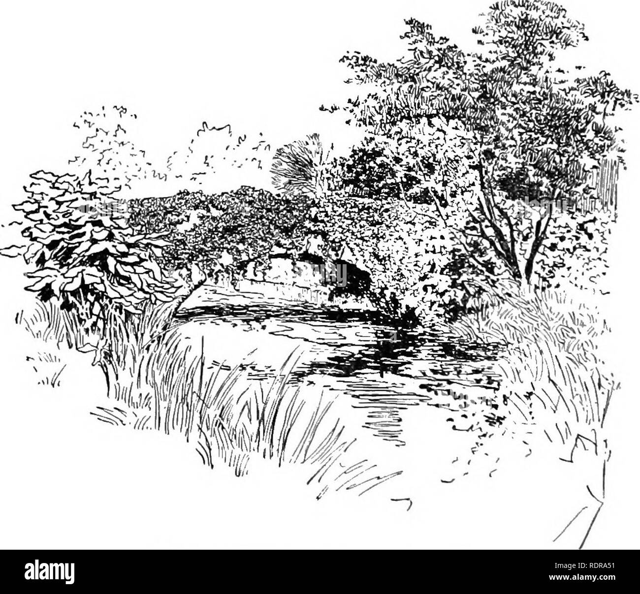 . Come pianificare la casa motivi;. Di giardinaggio. BOW BRroGE, al CENTRAL PARK DI NEW YORK. attraente come alberi ed arbusti e fiori ed erba. Questo è il motivo per cui, come in tutte le costruzioni, lo stile del ponte non dovrebbe essere lasciata all'architetto da soli, ma la sua posizione, lo stile e la sua decorazione con arbusti e alberi dovrebbe essere deciso dall'architetto del paesaggio. Ponte di pietra sul ruscello. Si prega di notare che queste immagini vengono estratte dalla pagina sottoposta a scansione di immagini che possono essere state migliorate digitalmente per la leggibilità - Colorazione e aspetto di queste illustrazioni potrebbero non perfettamente assomigliano a th Foto Stock