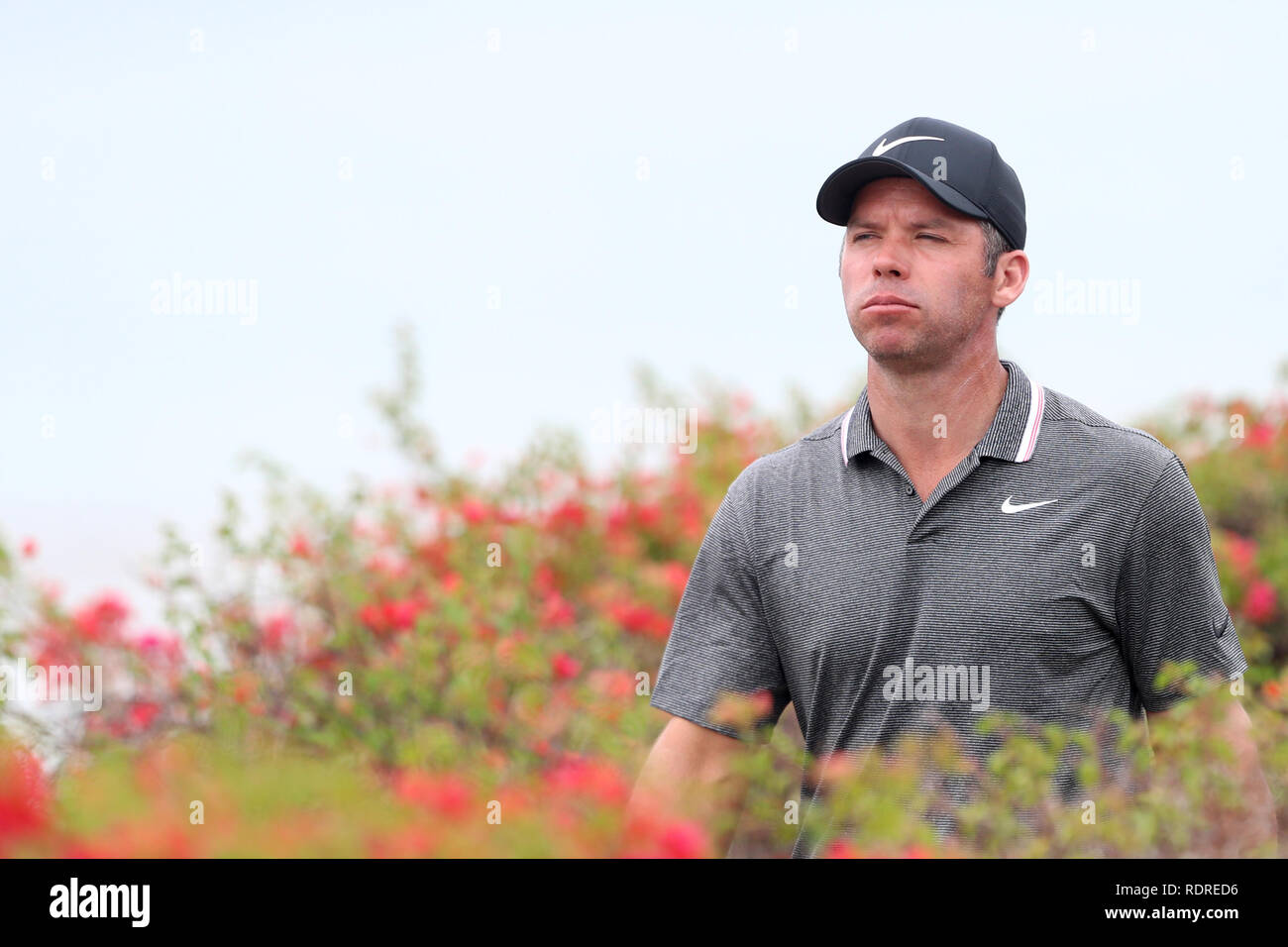 Singapore. 18 gennaio, 2019. Paul Casey di Inghilterra passeggiate al fairway off il sesto foro durante il secondo round del Singapore aperto al Corso Serapong, Sentosa Golf Club. Credito: Paul Miller/ZUMA filo/Alamy Live News Foto Stock