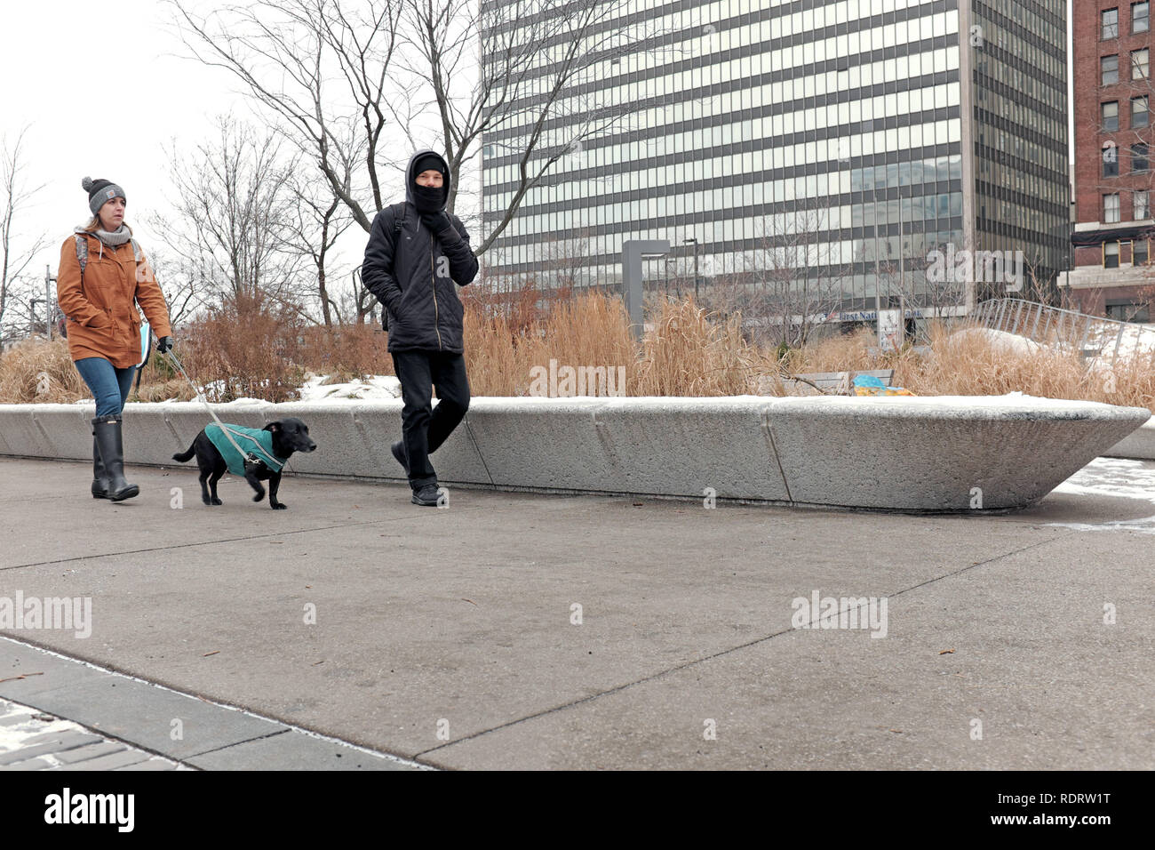 Cleveland, Ohio, USA. Xix gen, 2019. Un paio di Clevelanders sfidare il freddo artico per aria a piedi un cane prima dell'arrivo impedding di blizzard condizioni. Credito: Mark Kanning/Alamy Live News. Foto Stock