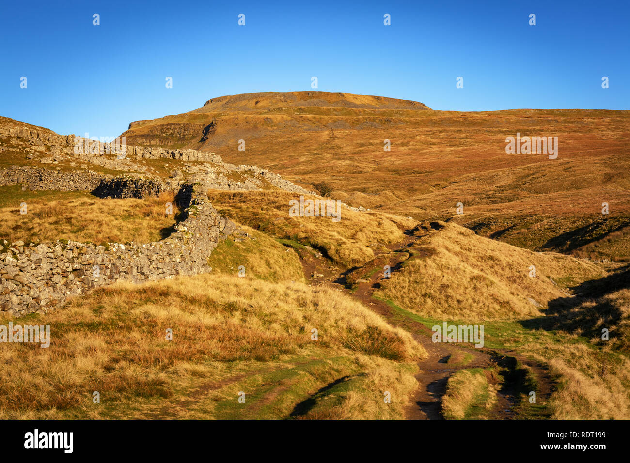 Ingleborough (723 m o 2,372 ft) è la seconda montagna più alta nel Yorkshire Dales. Si tratta di uno degli Yorkshire Tre Cime di Lavaredo (le altre due essendo Pe. Foto Stock