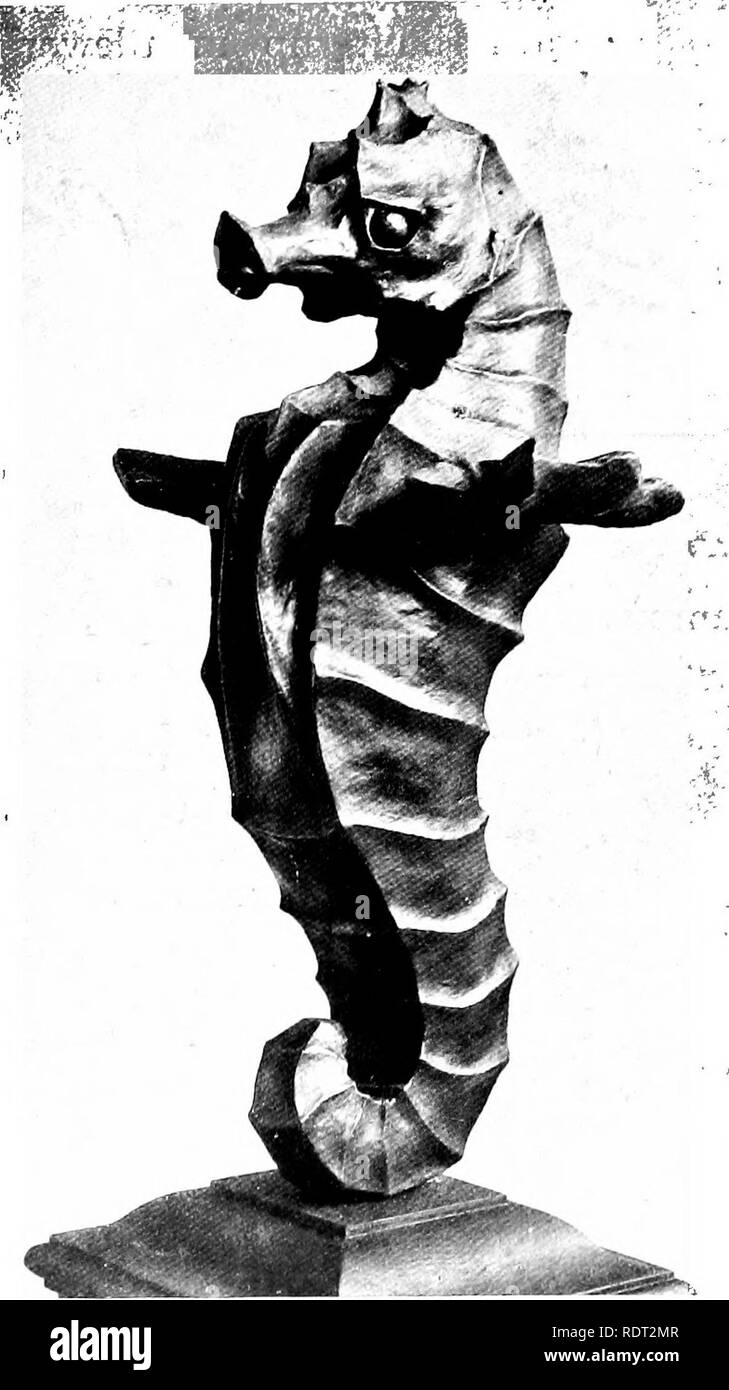 . Giardini per piccole case di campagna . Giardini, inglese. -Condurre DOLPHIK. FIG. 220.-GARGOYLE PER PARETE giardino. FIG. 219. portando al suo lavoro che solo la qualità della convenzione che rende arte invece di naturaUstic imitazione. Un altro piacevole portare il tubo di lancio per un giardino fontana è il Dolphin modellato dal sig. Cashmore e illustrata in Fig. 219. Il Gargoyle progettato dal Sig. Voysey, e costruito in un foglio di piombo, serve un piuttosto scopo diverso (Fig. 220). Essa è fissata alla parte anteriore di un grosso mattone parete di ritegno a Littleholme, Guild- ford (vedere anche Fig. 102), e ha un deliziosamente grottesco th di qualità Foto Stock