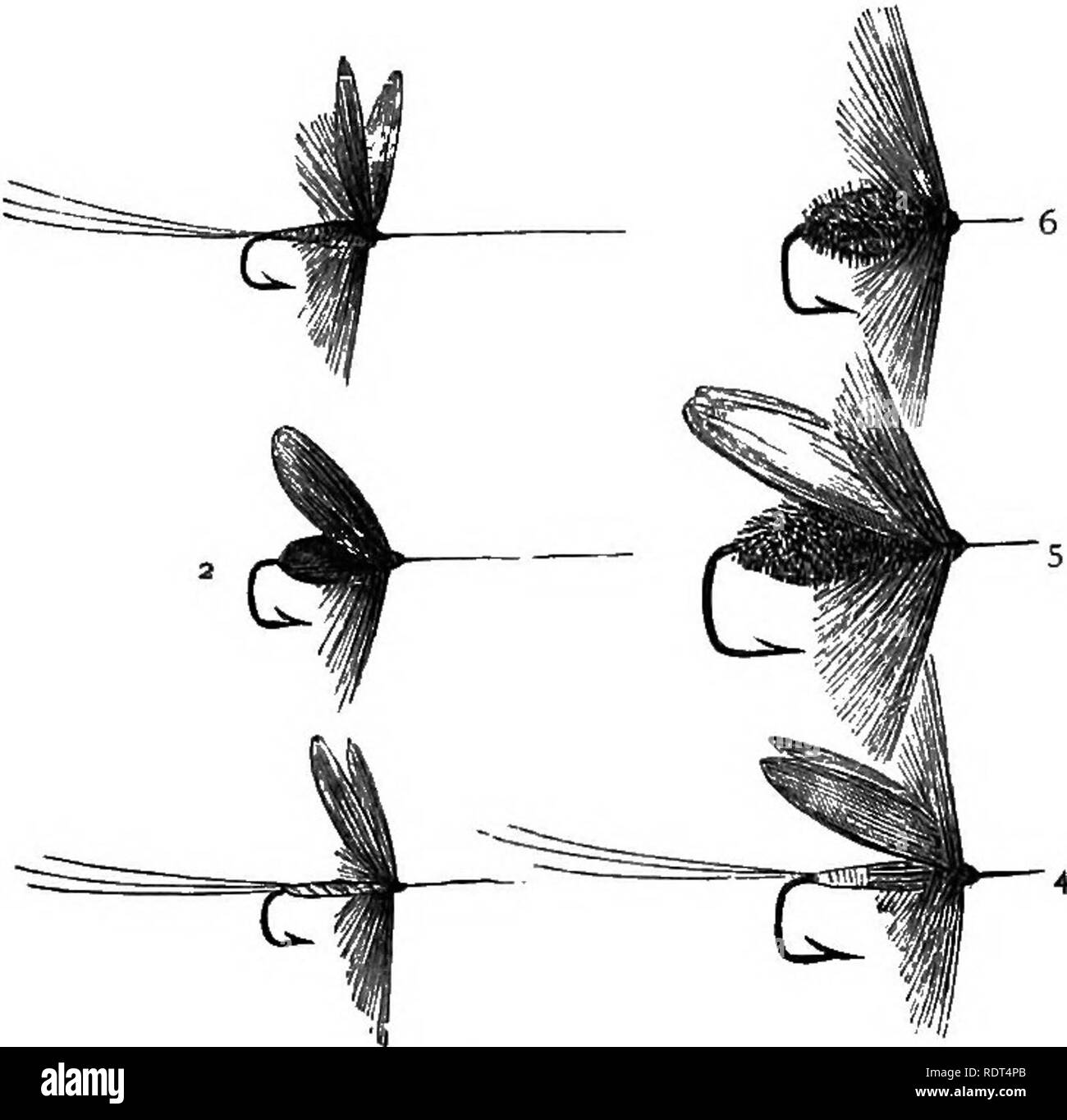 . Il mio giardino, il suo piano e cultura insieme con una descrizione generale della sua geologia, della botanica e della storia naturale. Il giardinaggio. I PRODOTTI DELLA PESCA. Per SOI, io uso un solo volo alla volta su Wandle. Come regola generale, una mosca chiamato un cocchiere (fig. ho loo. No. 5) generalmente uccide : ha ali bianche e le dimensioni devono essere proporzionate alla luce, più piccole mosche utilizzato nella luce del sole, maggiore nel crepuscolo, e al crepuscolo di una grande coachman può essere provato. A volte un volare la oppo- 3 sito di questo, con blu scuro ali, è buono ; ma non vi è un tempo particolare nel mese di giugno quando il naturale galleggianti volare giù il w Foto Stock