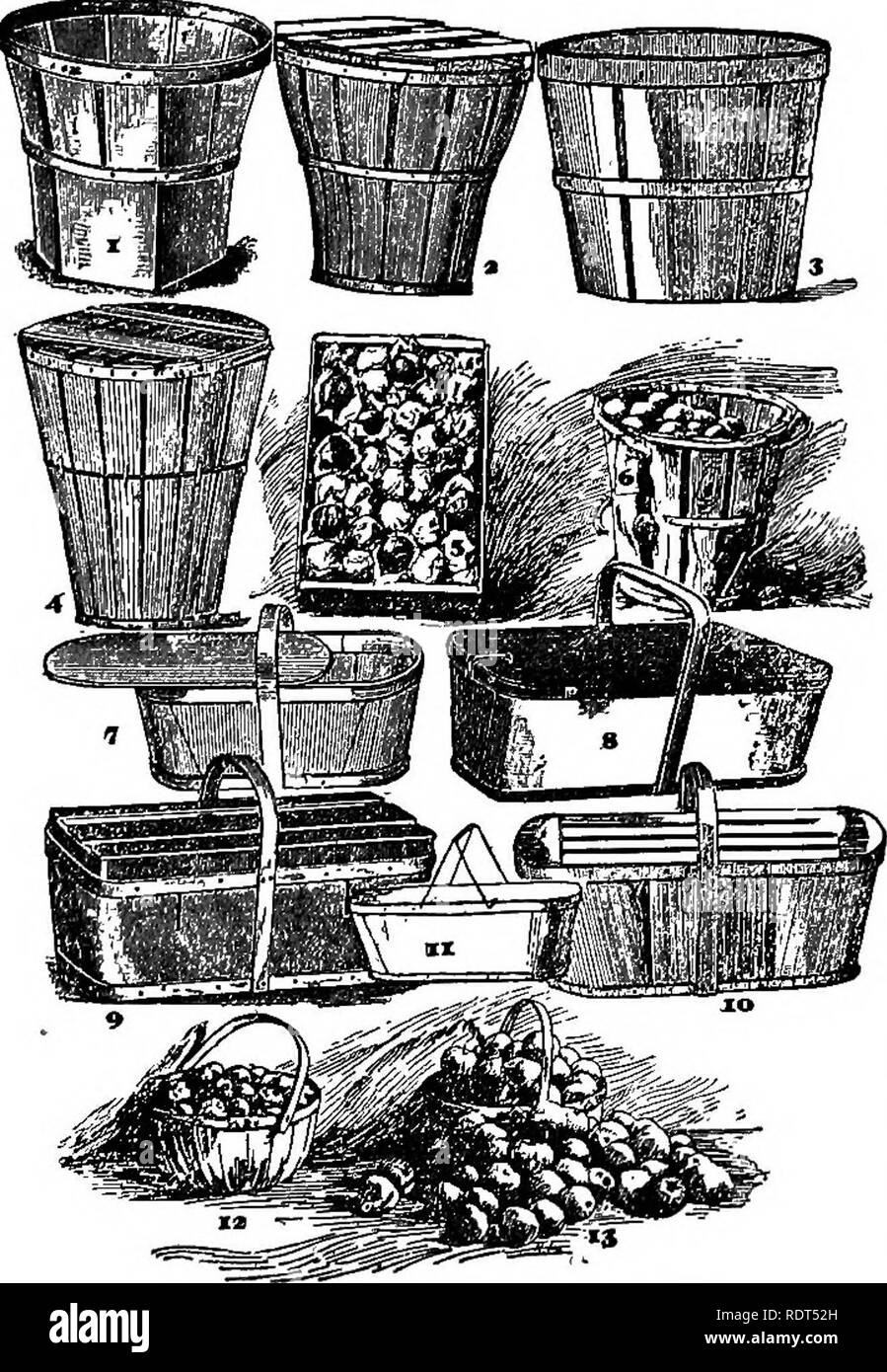 . I principi della frutticoltura, con applicazioni pratiche. Frutti-coltura. 386 i principi della coltivazione della frutta i pacchetti. Alcune delle molte forme di pacchetti per frutti aie mostrato nella foto. Queste sono le seguenti: Fig. 149.-No. 1, comune quart berry scatola; 2, il fondo, nel piatto; 3, i lati, in Fiat; 4, 5, 7, fino a cestelli; 6 cestino per la carta, impostare; 8, oblunga quart scatole; 9, 10, metallo- sormontato cestelli; 11, moggio con coperchio a tapparelle; 12, comune stecca peach cestello; 13 stesso, con coperchio. Fig. 150.-No. 1, impiallacciatura peach cestello; 2, standard peach cestello; 3, impiallacciatura straight-sided cestello; 4, vege- t Foto Stock