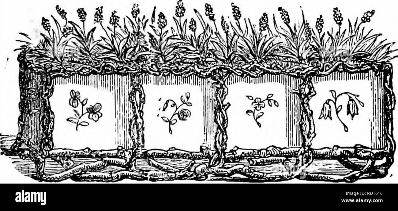 . La nuova finestra pratico giardiniere; essendo indicazioni pratiche per la coltivazione della fioritura e foglie di piante in windows e casi di vetrate e la disposizione delle piante e dei fiori per la decorazione della casa. Finestra-giardinaggio. La nuova finestra pratico giardiniere. 17 fiori e l'allegro aspetto che danno alla vostra abitazione. Come piacevole ed interessante per l'occhio è un bene riempito window box! Che cosa un vivace aspetto essa dà a una via o piazza in una città o paese dove ogni altra finestra è gay in miniatura con giardini di fiori. Molte sono le amare guarda getta su di loro dal Foto Stock