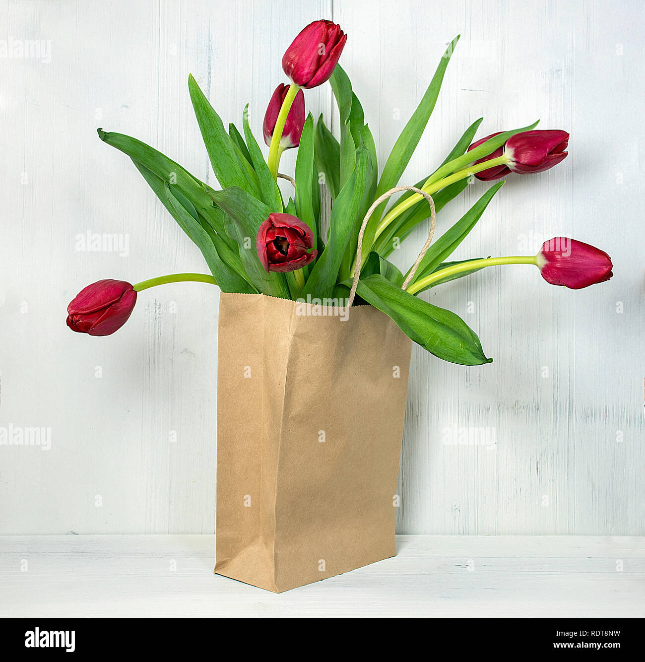 Tulipani rossi generici in carta marrone borsa sul rustico in legno dipinto di bianco Foto Stock