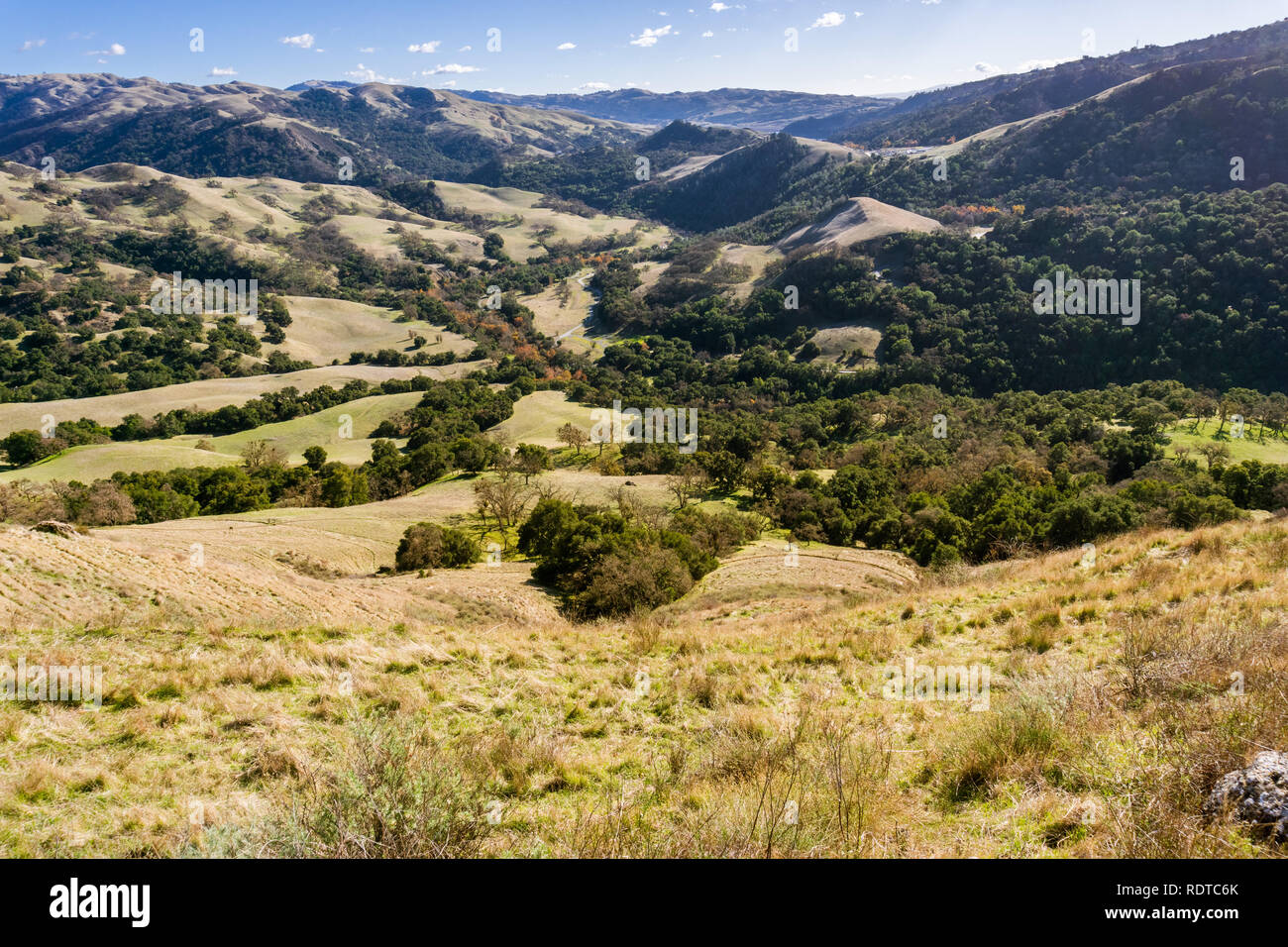 Valle in Sunol deserto regionale, San Francisco Bay Area, California Foto Stock