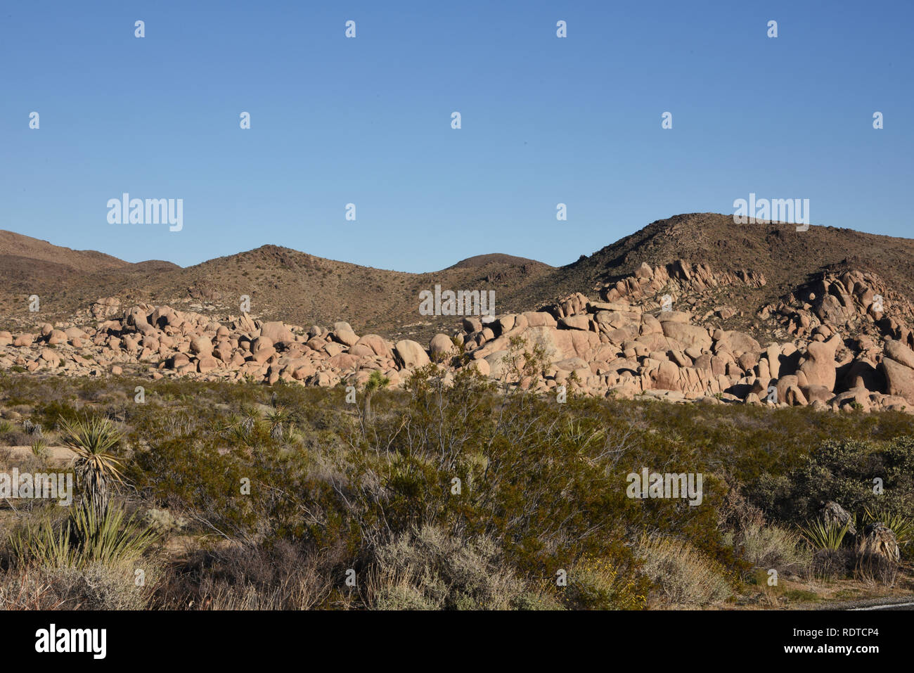Parco nazionale di Joshua Tree, ventinove Palme, 29 palme, CALIFORNIA, STATI UNITI D'AMERICA Foto Stock