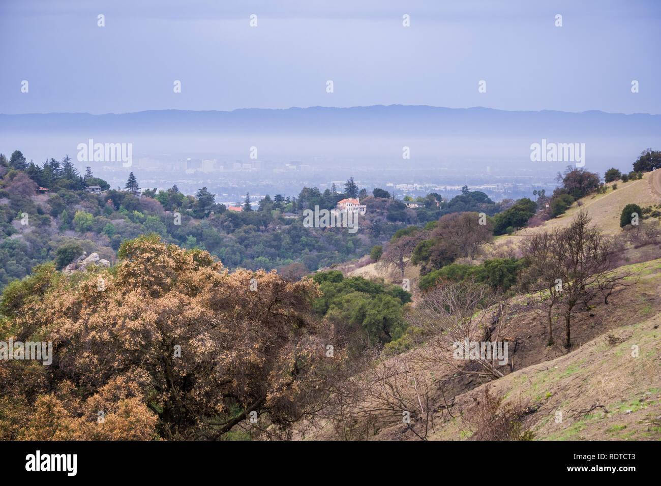 Paesaggio in allume Rock Park in un giorno nuvoloso; alberi bruciati e vegetazione in primo piano; San Jose downtown è appena visibile a causa della nebbia e inquinamento Foto Stock
