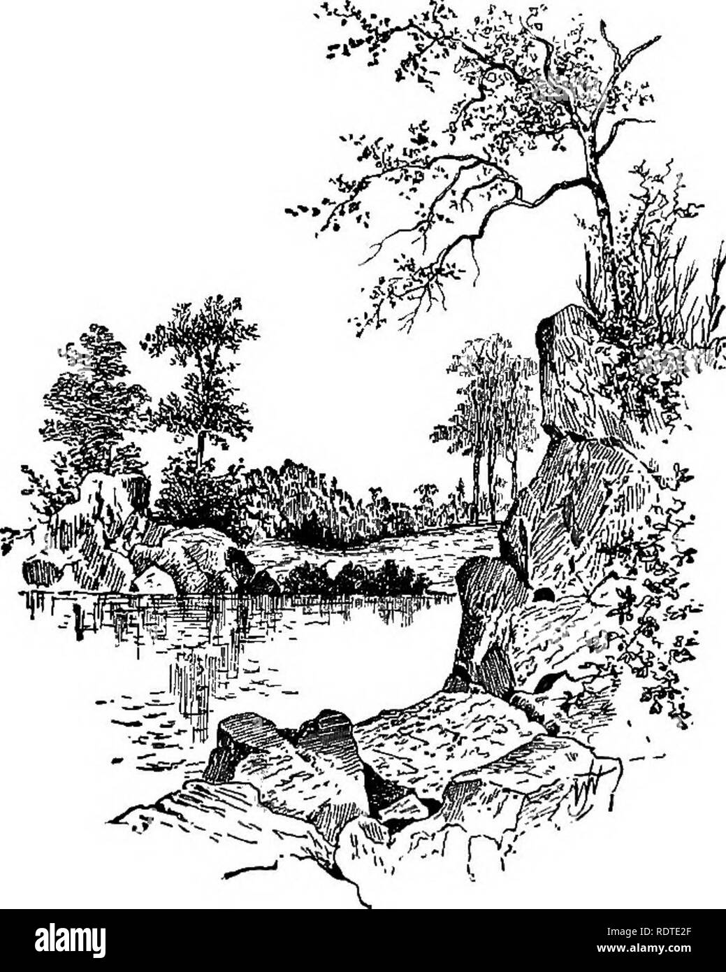 . Di giardinaggio. Note e suggerimenti sui prati e prato piantando--posa e disposizione del paese luoghi, grandi e piccoli parchi, cimitero tenute, e della stazione ferroviaria di prati--di latifoglie e sempreverdi alberi ed arbusti--l'hardy border-biancheria piante--rockwork, ecc. Di giardinaggio. Verde fogliame autunnale. 113 ha permesso di spazio, vorremmo abitare ou la bellezza in autunno di vari privets, Daphne cneorum di minuscoli mai- fogliame verde e alcune delle specie Elceagnus, segnatamente il grigio E. Mortensis e la robusta E. longipes, con grandi foglie e bacche rosse, così come il Foto Stock