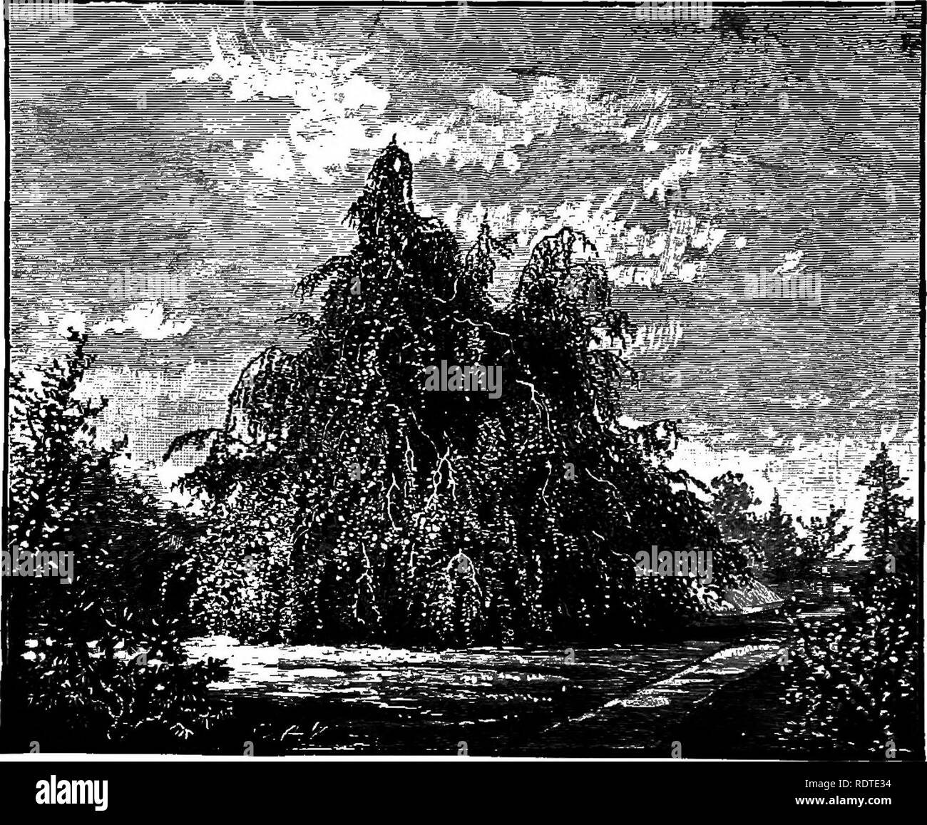 . Di giardinaggio. Note e suggerimenti sui prati e prato piantando--posa e disposizione del paese luoghi, grandi e piccoli parchi, cimitero tenute, e della stazione ferroviaria di prati--di latifoglie e sempreverdi alberi ed arbusti--l'hardy border-biancheria piante--rockwork, ecc. Di giardinaggio. 110 verde fogliame autunnale. Per quanto sappiamo, lindens tlie può solo vantarsi di due varietà che restano molto verde in caduta, cioè: Tilia dasy- styla e T. subplmm'ea, oro-abbaiato alberi witli bright foglie verdi. Tutti gli altri lindens fade presto e diventare quasi sgradevoli all'inizio dell'autunno, in modo tale che il g Foto Stock
