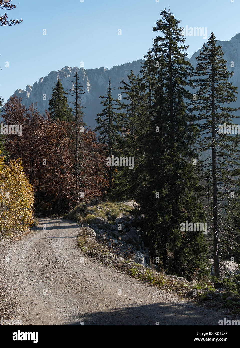 Velebit Settentrionale (parco nazionale della Croazia) paesaggio Foto Stock