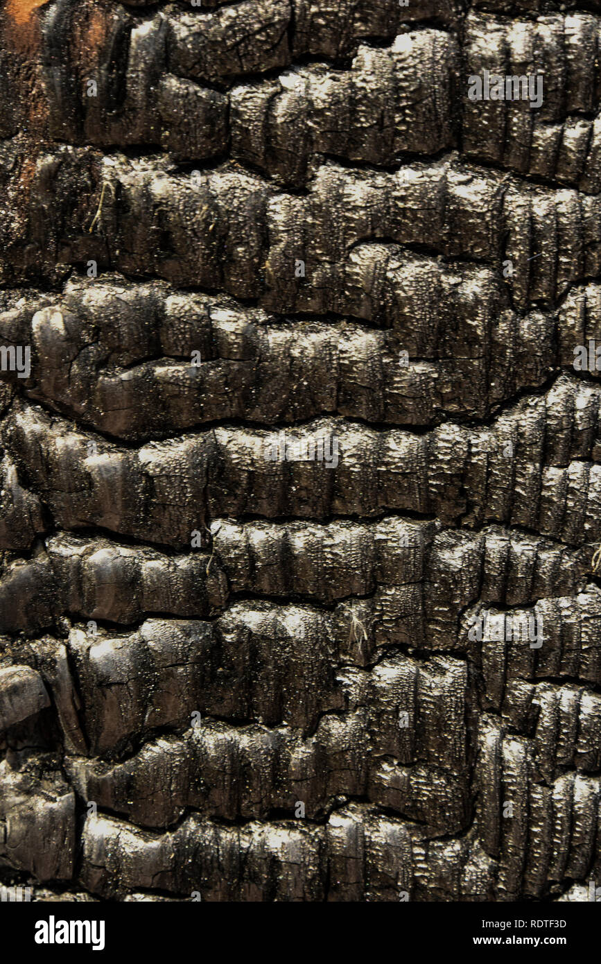 Di legno bruciato, carbonizzati a nero Foto Stock