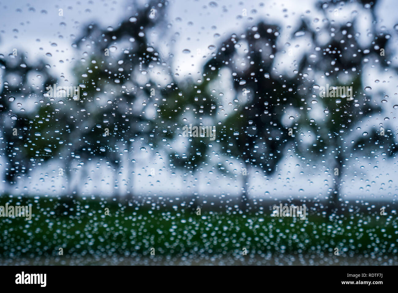 Gocce di pioggia sulla finestra; alberi sfocata in background; Foto Stock