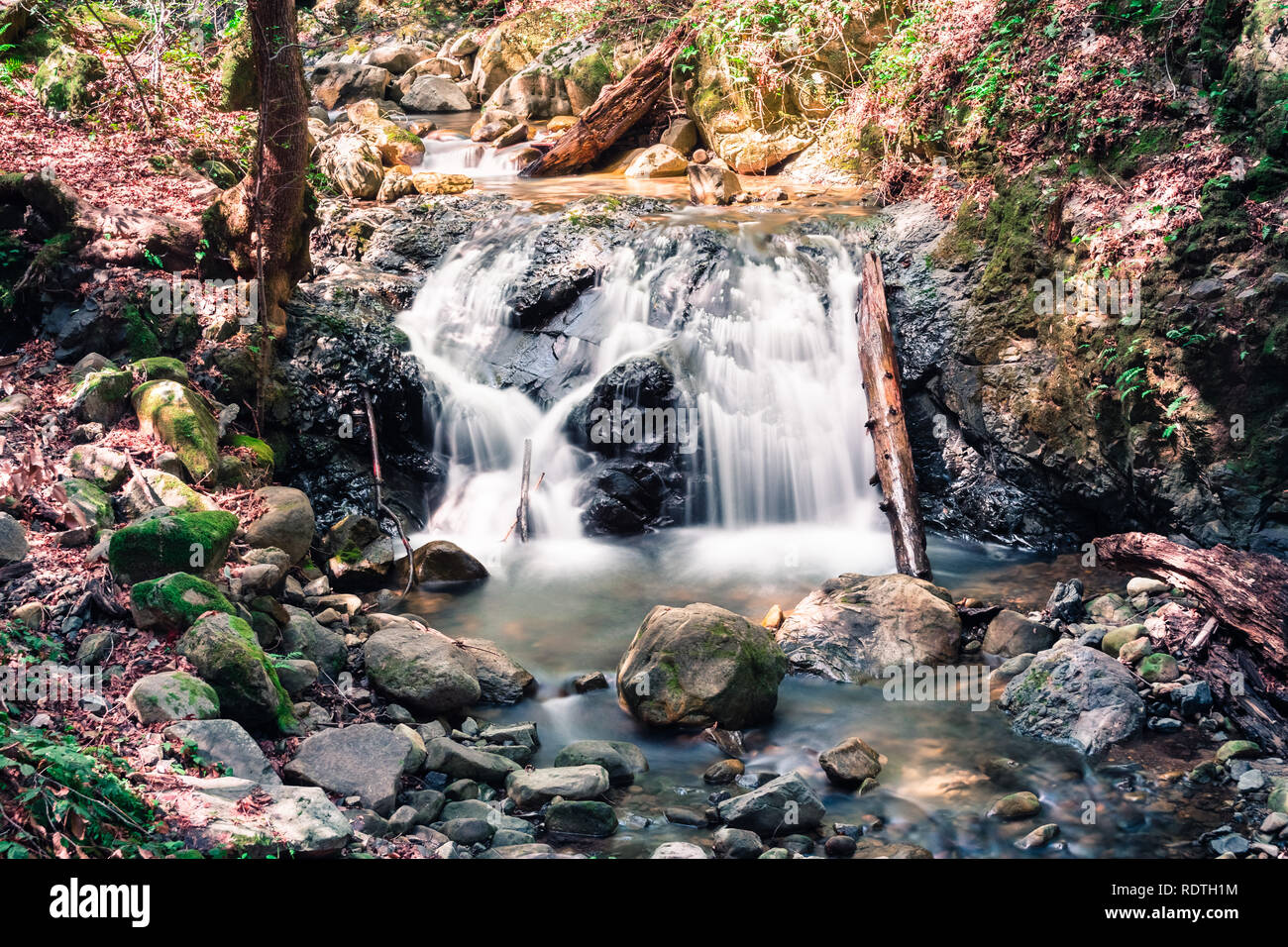 La cascata nel Canyon Uvas Parcheggio contea di Santa Clara County, California; lunga esposizione Foto Stock