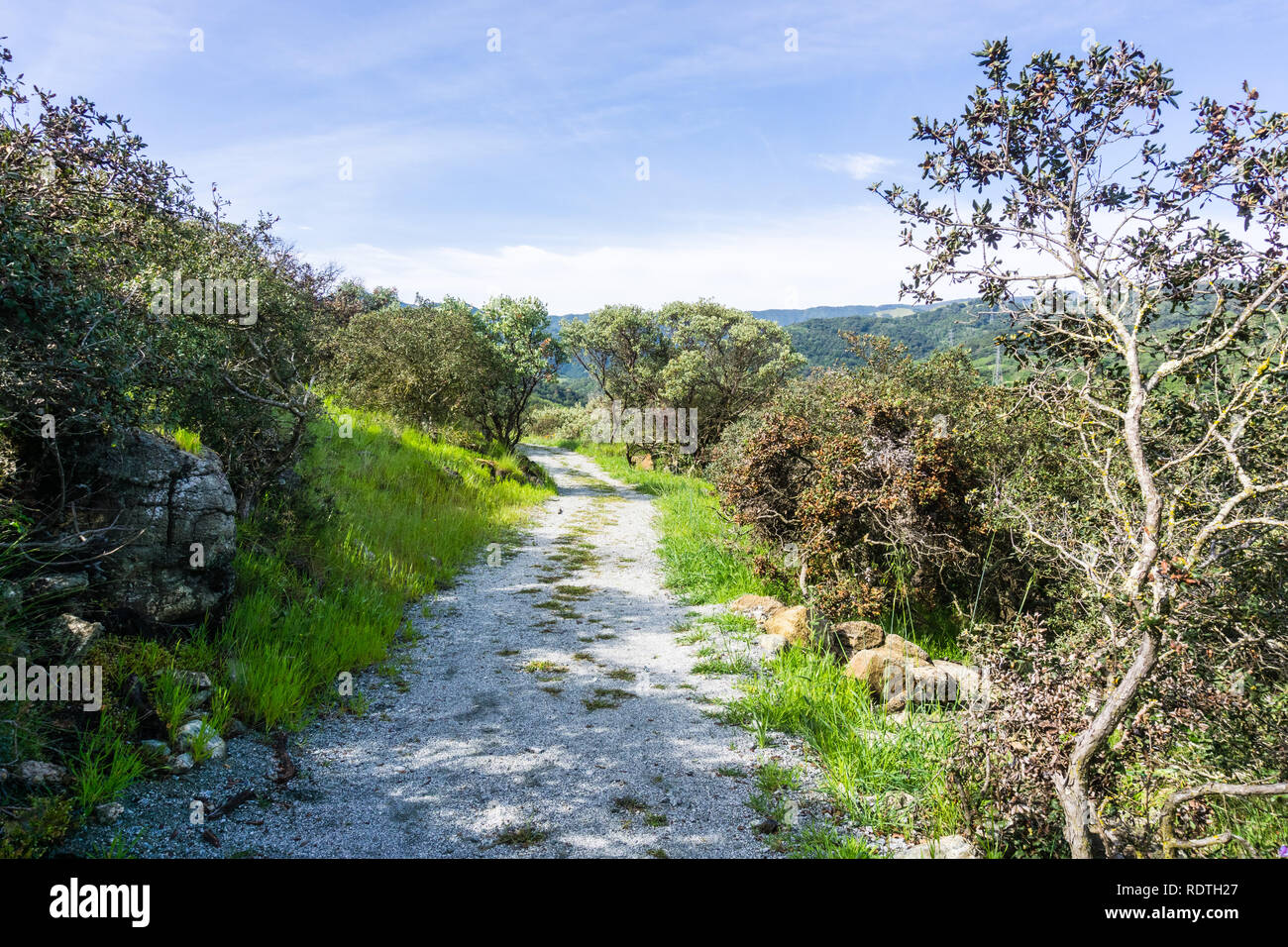 Percorso trekking sulle colline di la recente apertura del Rancho San Vicente Spazio aperto conservare, parte di Calero Parcheggio contea di Santa Clara County, a sud di San Francesco Foto Stock