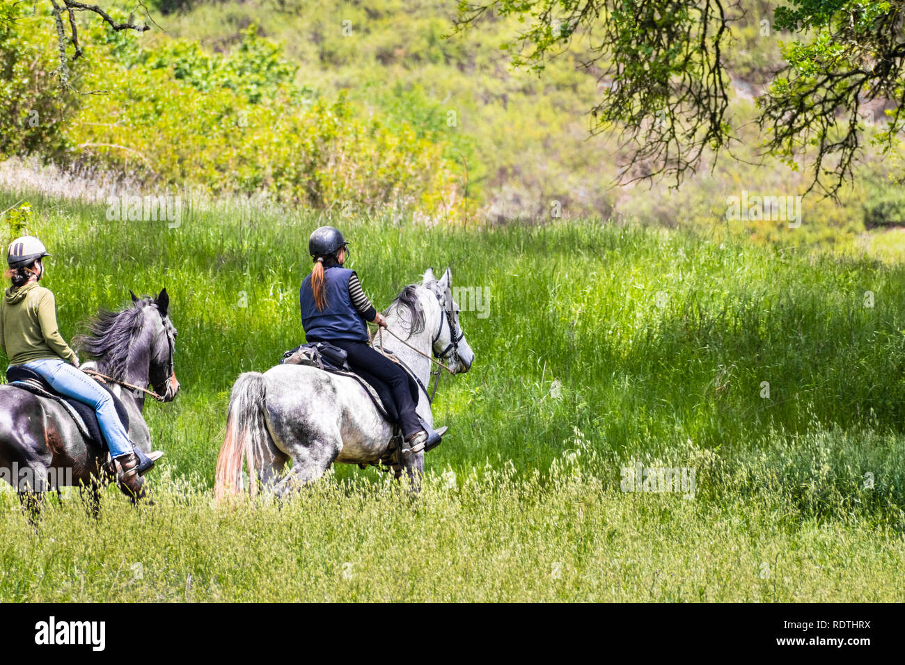 Due donne non identificato a cavallo sulle colline di South San Francisco Bay Area, Santa Clara County, California Foto Stock