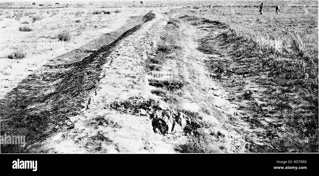 . Studi sulla vegetazione della Transcaspian lowlands. La botanica. - 54 - mantiene tuttavia (1. c. p. 123) che soluzione salina suolo devono essere lavate per due inverni prima di essa è adatta ad essere coltivato. Batpak o Batliak, secondo Choroshkin (citato da MusKETOW p. 655), deve essere strettamente correlato al Ssor. Questi sono depressioni paludose con è efflorescente sali, e sono quasi sempre trovato dal sale-laghi e può essere parzialmente coperta dall'acqua. Esso deve essere aree di questo tipo che Borszczow. Fig. 3. A sinistra sale-deserto con sparse Halostachys caspica. Il suolo a destra del Tumulo è stata irrigata una volta Foto Stock