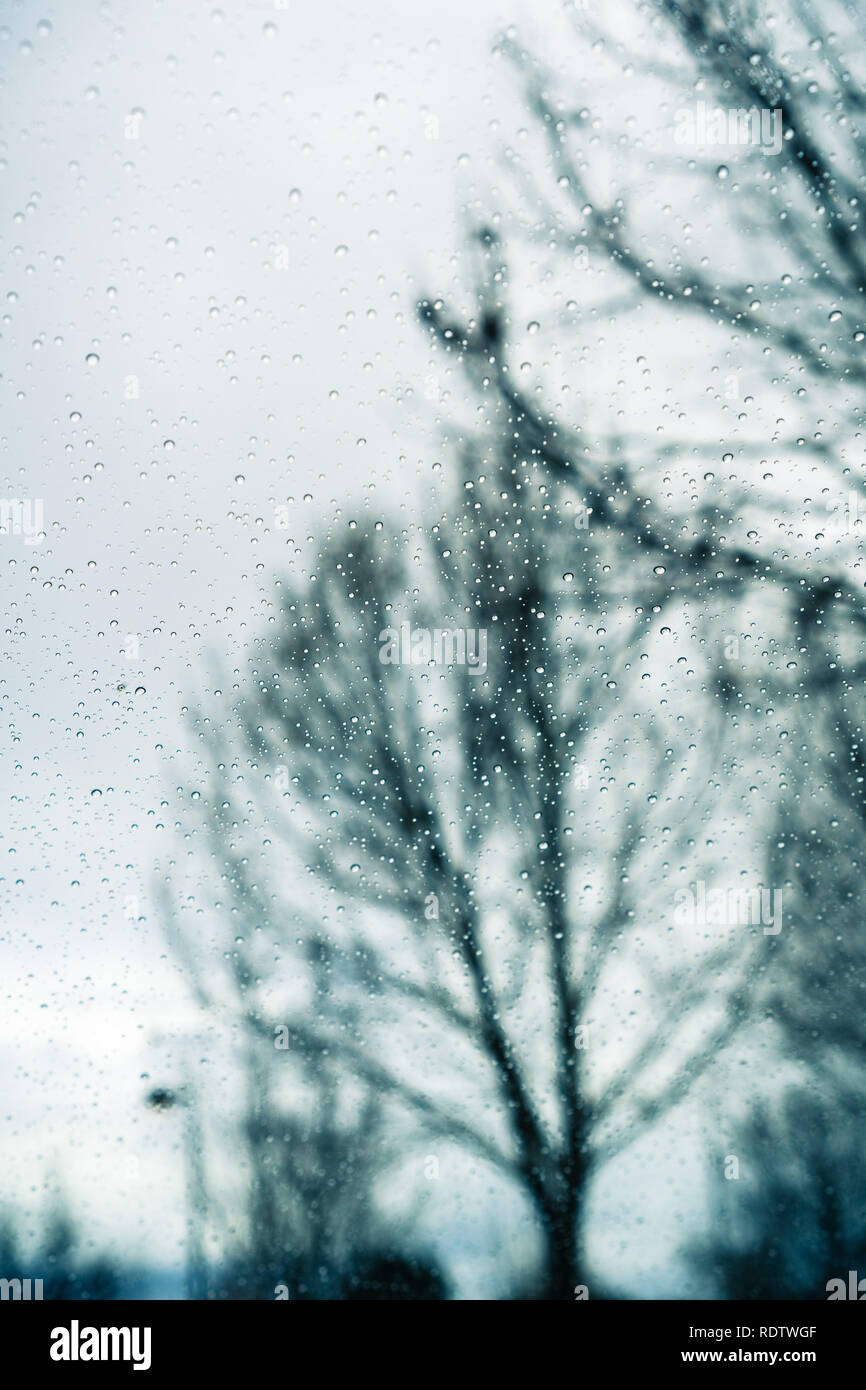 Gocce di pioggia sulla finestra; alberi sfocata in background; Foto Stock
