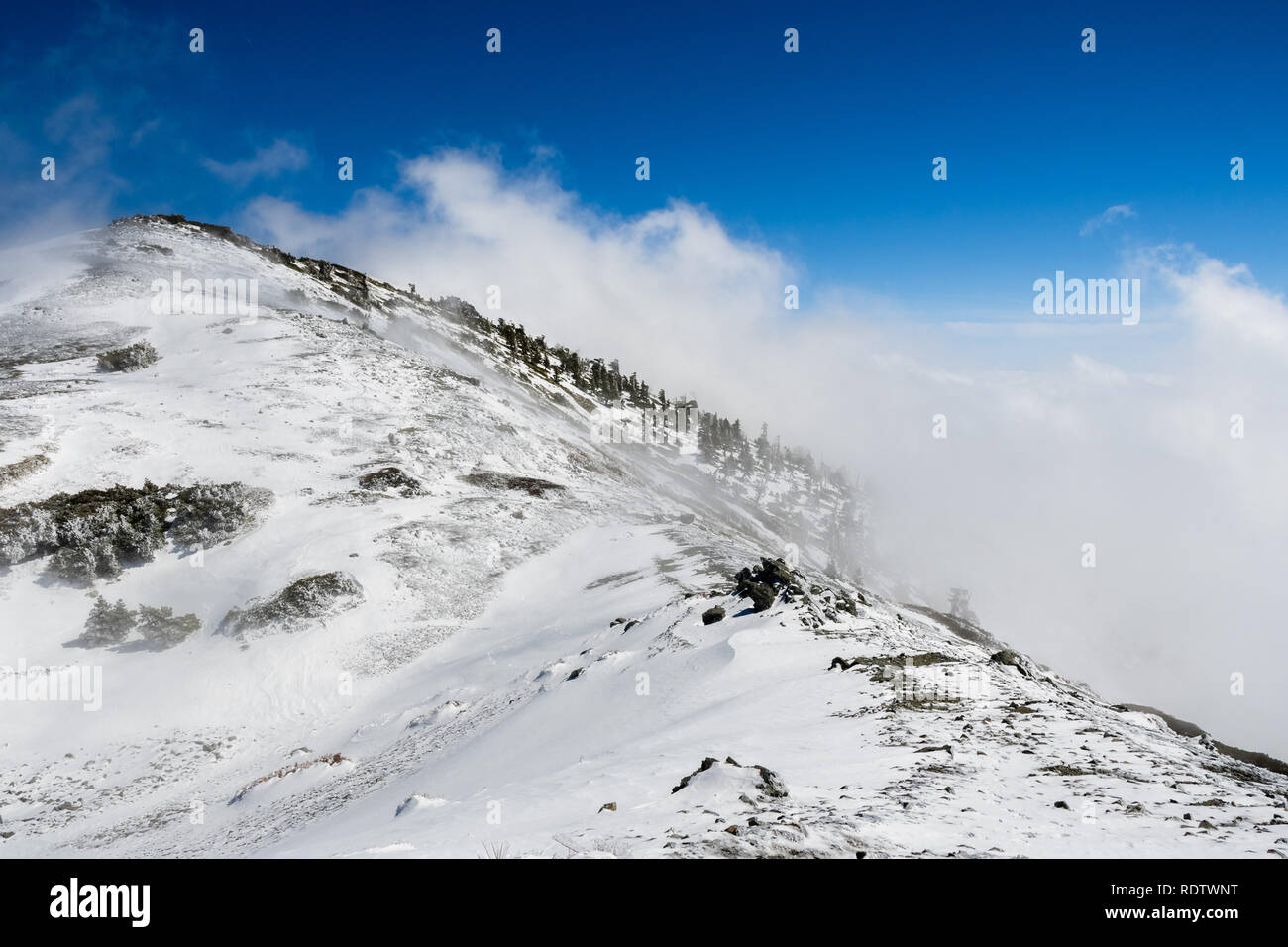 Nebbia salendo dalla valle e travolgendo un crinale; Monte San Antonio (Mt Baldy),California del sud Foto Stock