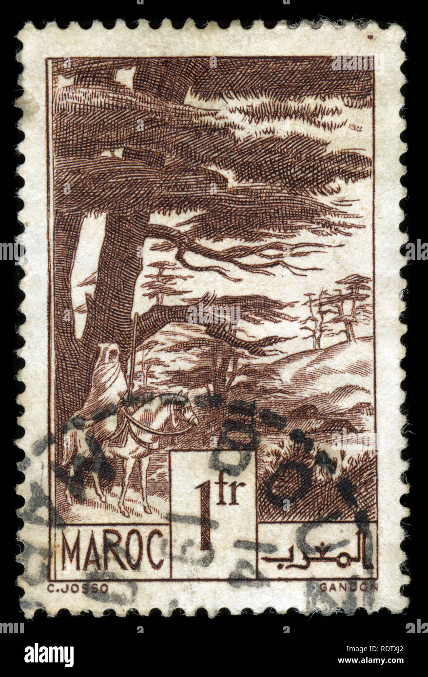 Francobollo dal Marocco nella natura serie emesse nel 1939 Foto Stock