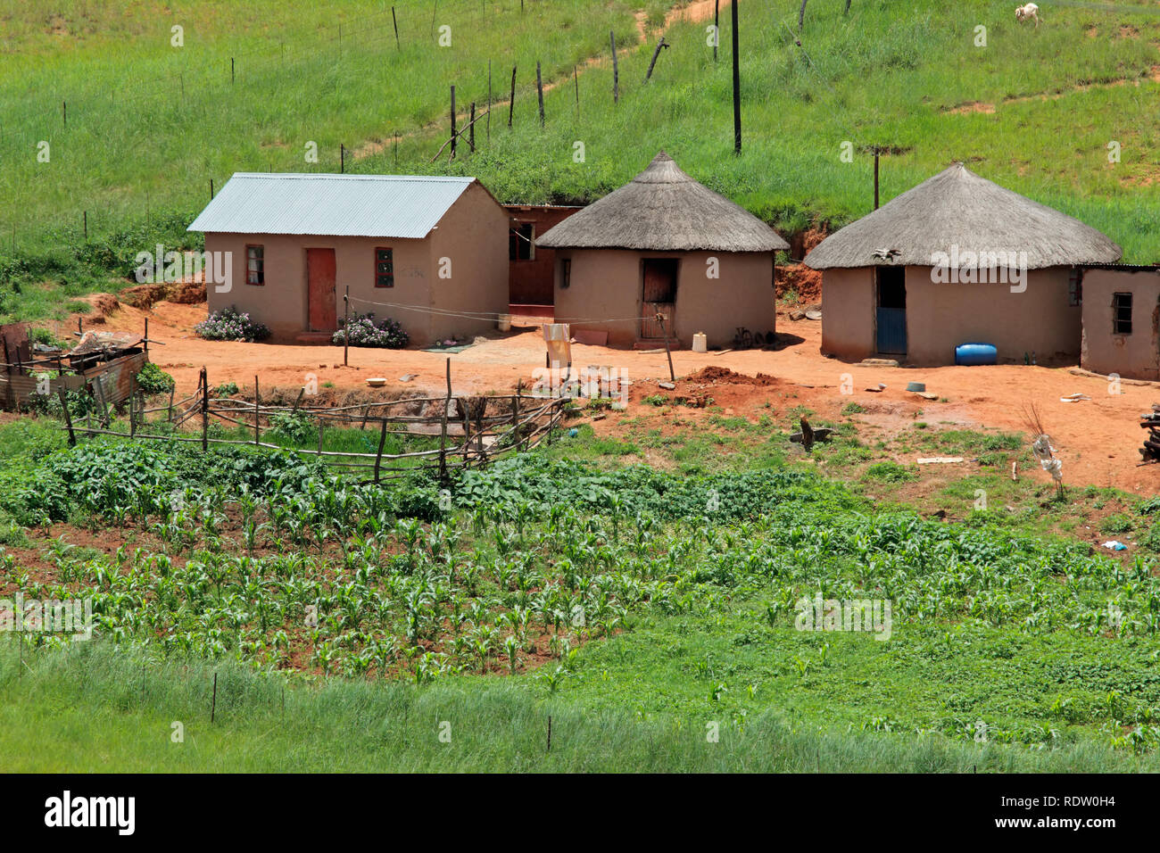 Piccolo insediamento rurale in pascoli di montagna, KwaZulu-Natal, Sud Africa Foto Stock