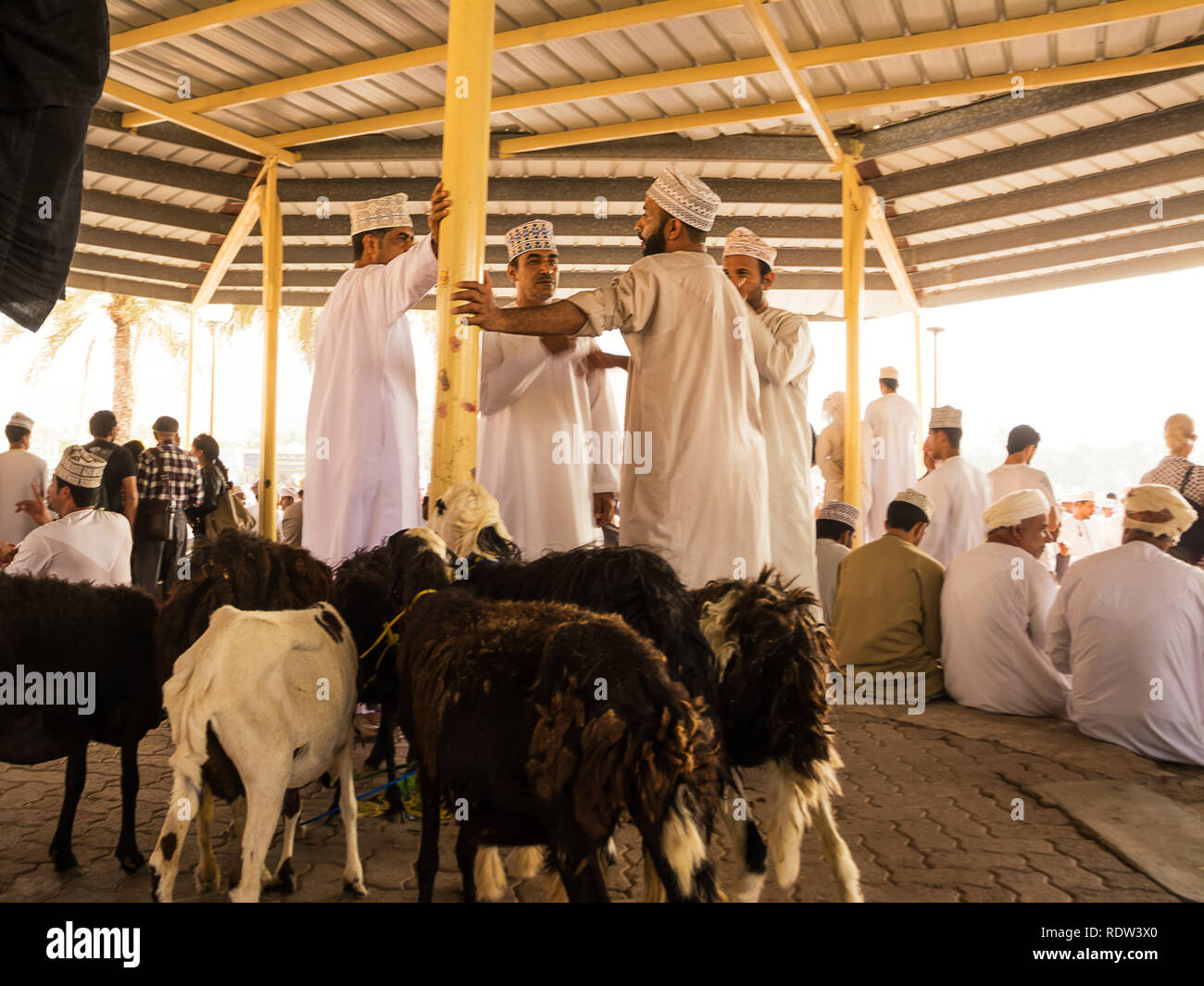 Nizwa, Oman - 2 Novembre 2018: gli uomini di negoziare il prezzo per la vendita di animali al venerdì sul mercato degli animali in Nizwa Foto Stock