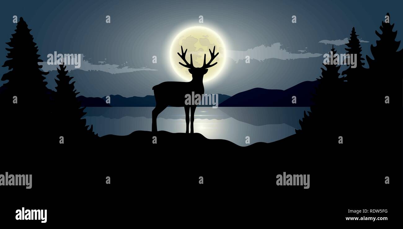 La renna dal lago di luna piena notte oscura la fauna selvatica natura paesaggio illustrazione vettoriale EPS10 Illustrazione Vettoriale