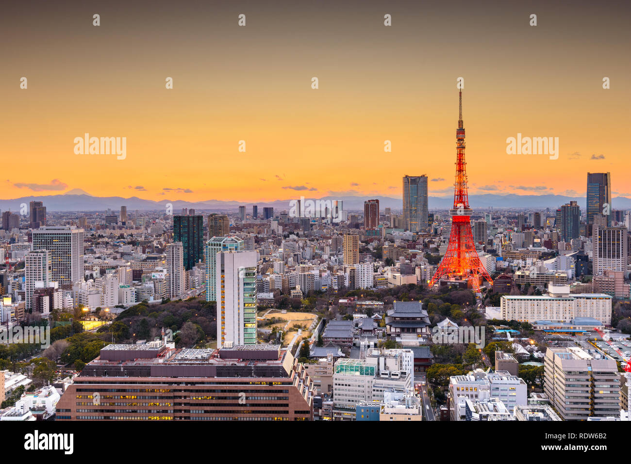 Tokyo, Giappone cityscape e torre al tramonto. Foto Stock