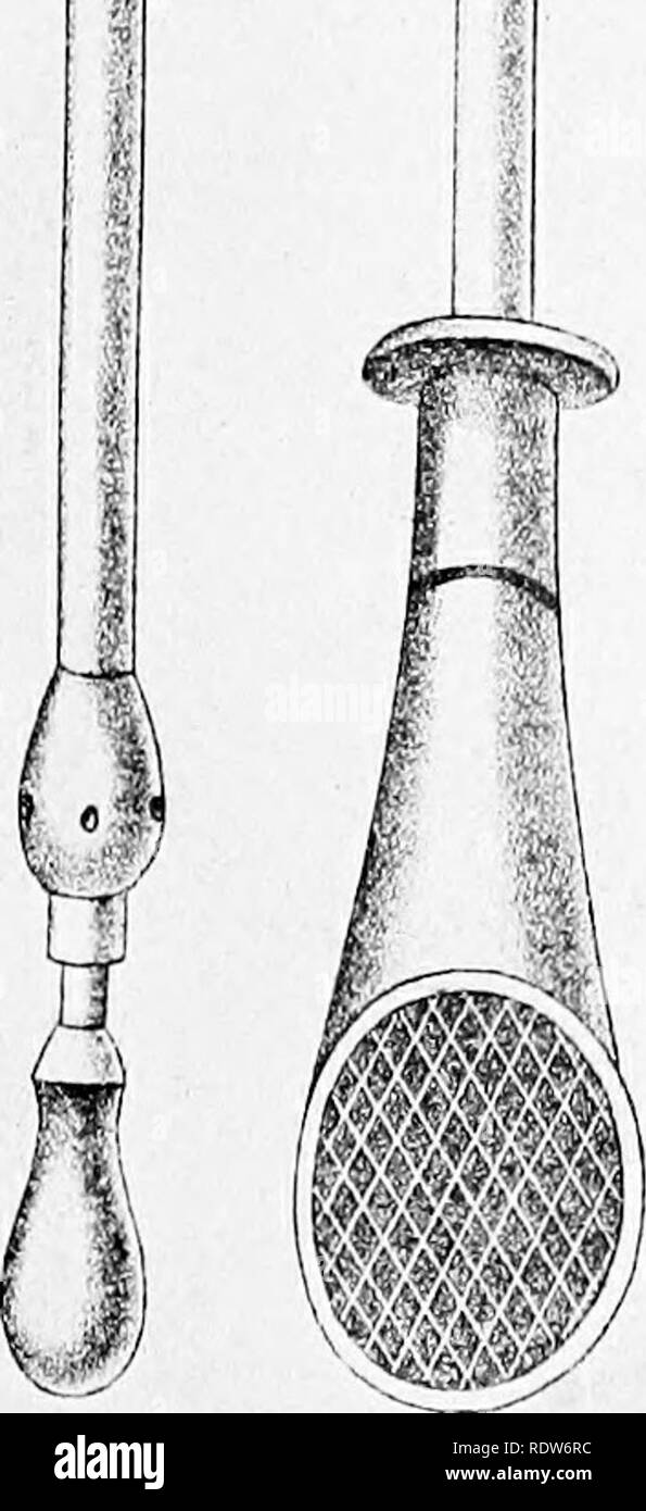. Relazione speciale sulle malattie del bestiame. I capi di bestiame. Malattie del bestiame. Piastra III. ^21== â ^=^ Â"JÂ"ij;i7. jjjÂ£iÂ£;;j;3;i^i|""j'"'""i"i'i'i|iiÂ"|iMi|iiii|iiiiMii[TmTrii .^^â ^,â .,â ;^^f^ie^aQtÂ".-.Mttn^A^.^^,,. Si prega di notare che queste immagini vengono estratte dalla pagina sottoposta a scansione di immagini che possono essere state migliorate digitalmente per la leggibilità - Colorazione e aspetto di queste illustrazioni potrebbero non perfettamente assomigliano al lavoro originale. Stati Uniti. Ufficio di presidenza di industria animale; Atkinson, Vickers T; Dickson, William; Harbaugh, William Heyser; Diritto, James, 1838-1921; Lowe, William Foto Stock