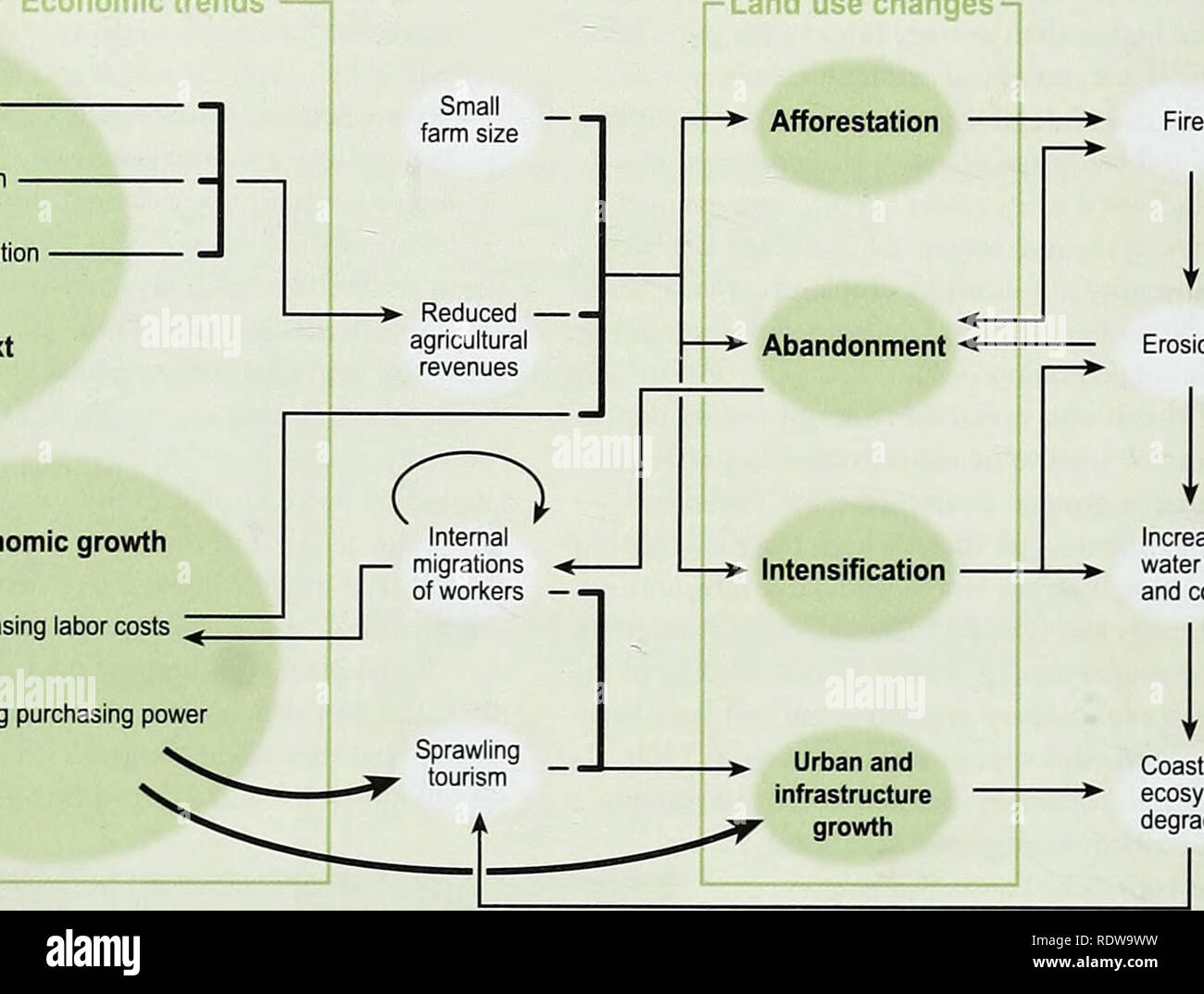 . Ecosistemi e di benessere umano: sintesi della biodiversità. Figura 3.8. Illustrazione di feedback e di interazione tra i conducenti in Portogallo Sub-Valutazione globale delle tendenze economiche di uso del suolo modifiche - integrazione dell'Unione Europea Politica Agricola Comune Europea Organizzazione mondiale del commercio accordi quadro politico la crescita economica aumentando i costi di manodopera aumentando il potere di acquisto Fonte: Millennium Ecosystem Assessment erosione. Aumentata +. L'inquinamento delle acque e zone costiere di consumo &gt;• Il degrado degli ecosistemi figura 3.9. Riepilogo delle interazioni tra i driver associati con il sovrasfruttamento Foto Stock