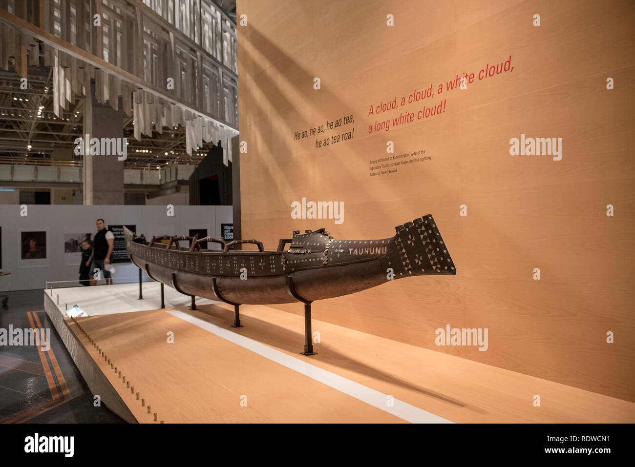 Le scene di interni del museo della Nuova Zelanda Te Papa Tongarewa. Nota: la fotografia della maggior parte dei reperti Maori è stata vietata anche con credenziali di stampa. Foto Stock