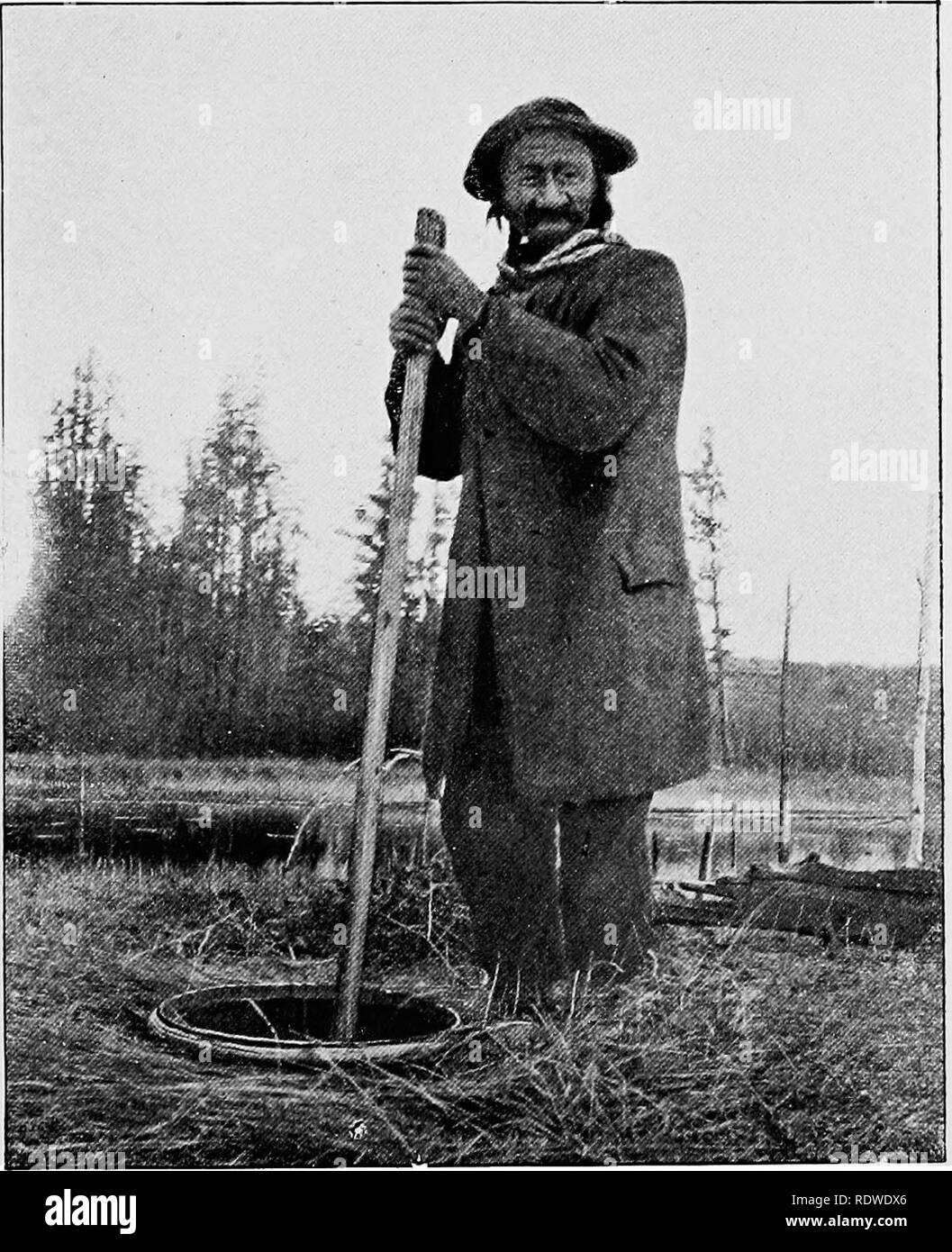 . Utili piante selvatiche di Stati Uniti e Canada. La botanica, economico; botanica; Botanica. Un indiano della regione dei Grandi Laghi di trebbiatura del riso selvatico per mezzo di un dasher-come bastone. (Cortesia del Bureau of American Etnologia.). Si prega di notare che queste immagini vengono estratte dalla pagina sottoposta a scansione di immagini che possono essere state migliorate digitalmente per la leggibilità - Colorazione e aspetto di queste illustrazioni potrebbero non perfettamente assomigliano al lavoro originale. Saunders, Charles Francesco, 1859-1941. New York, R. M. McBride &AMP; Co. Foto Stock