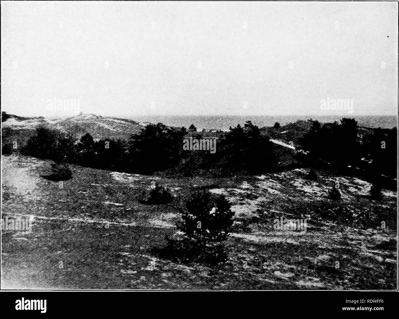 . La genesi e lo sviluppo di formazioni di sabbia sulle coste marine. Spiagge e dune di sabbia; Ecologia vegetale. Flo. 2. Campo di sabbia con l'Armeria comunità, svedese costa sud. Fotografia di Er1ESON.. Fig. 3. Dune di sabbia grigia con pini sullo svedese costa sud-orientale. Fotografia di ERIESON.. Si prega di notare che queste immagini vengono estratte dalla pagina sottoposta a scansione di immagini che possono essere state migliorate digitalmente per la leggibilità - Colorazione e aspetto di queste illustrazioni potrebbero non perfettamente assomigliano al lavoro originale. Olsson-Seffer, Pehr Hjalmar, 1873-1911. Isola di roccia, Ill. , Augustana Prenota preoccupazione, stampanti Foto Stock