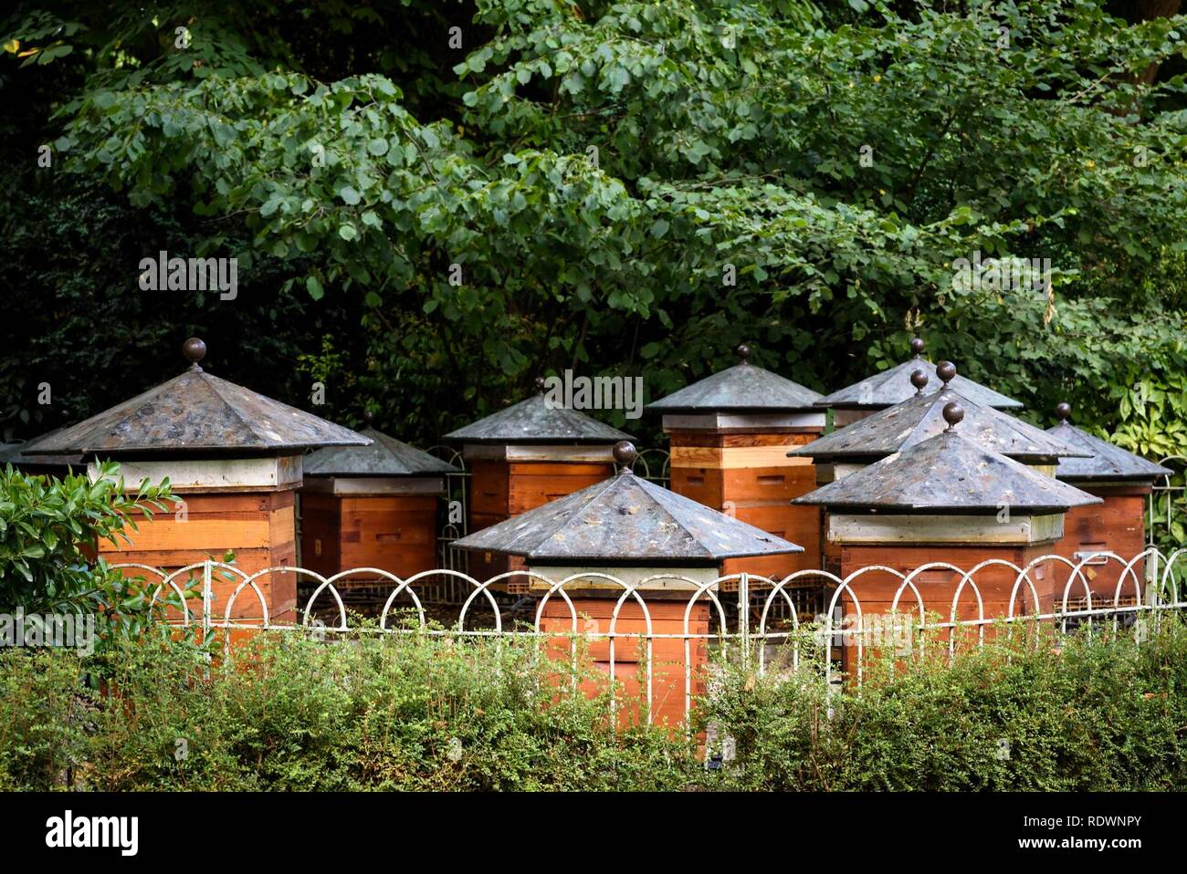 Apiario nei giardini di Lussemburgo, a Parigi il 5 luglio 2015. Foto Stock