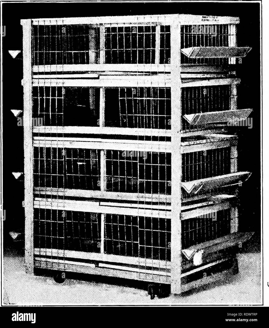 . La produzione di pollame. Il pollame. Alimentando PRATICHE E GLI APPARECCHI 419 non sono sagomati in modo tale da resistere al congelamento, non sono suscettibili di essere in uso in caso di gelo. Casse di ingrasso.^-Lo scopo della cassa di ingrasso è quella di confinare gli uccelli destinati all' ingrasso che avranno scarse opportunità per fare esercizio e saranno raggruppati in un piccolo spazio in modo che il lavoro di alimentazione viene ridotto il più possibile. Un certo numero di orates costruito insieme come di solito è fatto a stazioni di alimentazione dell'imballaggio-case è chiamato una batteria. Fig. 193. Batteria per portatile di cassette di alimentazione. (Cortesia Foto Stock