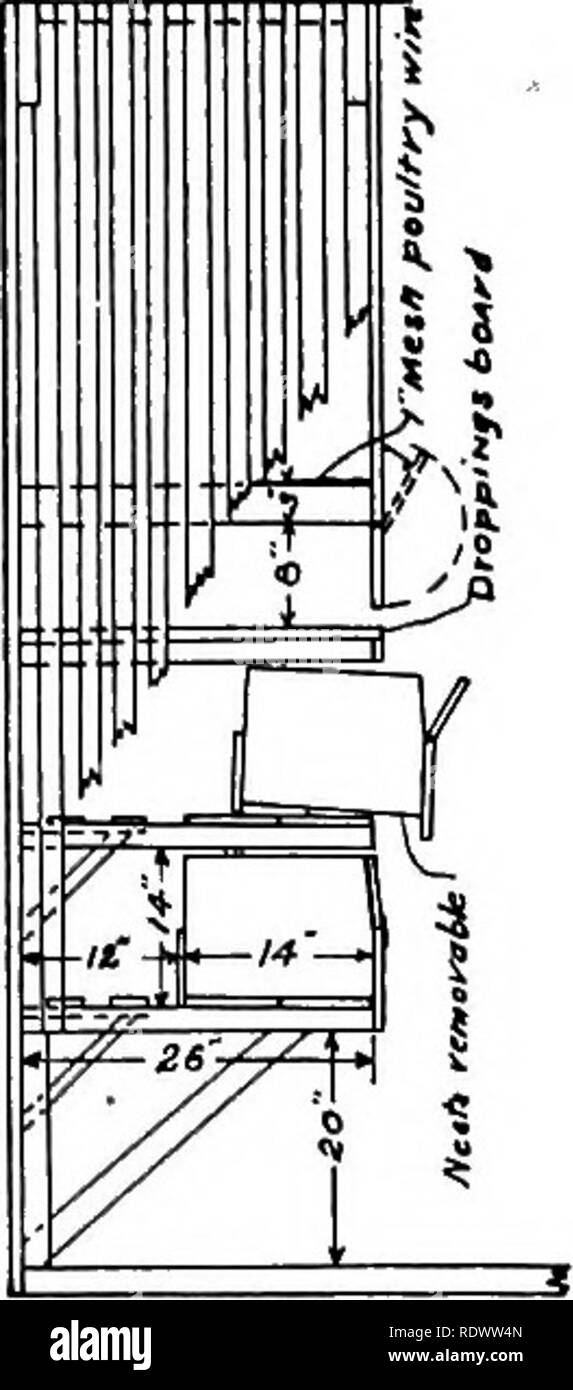 . La produzione di pollame. Il pollame. Alloggiamento e igiene 277 Figg. 145 e 152. Per molto tempo caldo è spesso desiderabile, tuttavia, di avere una ventilazione extra, come è dato nella casa Fig. 150 A/SSrS AfifO BffOOOY coo^. ^ VJIND BAFFLER Arrawa jMef Jioif tt/iitJ fi0j"aa fhrouf/i i"/fl"fe lilt rfVAMUVWOfffC f^O/? F^RONT. Si prega di notare che queste immagini vengono estratte dalla pagina sottoposta a scansione di immagini che possono essere state migliorate digitalmente per la leggibilità - Colorazione e aspetto di queste illustrazioni potrebbero non perfettamente assomigliano al lavoro originale. Lippincott, William Adams, 1882-1931. Philadelphia, Lea &AMP; Foto Stock