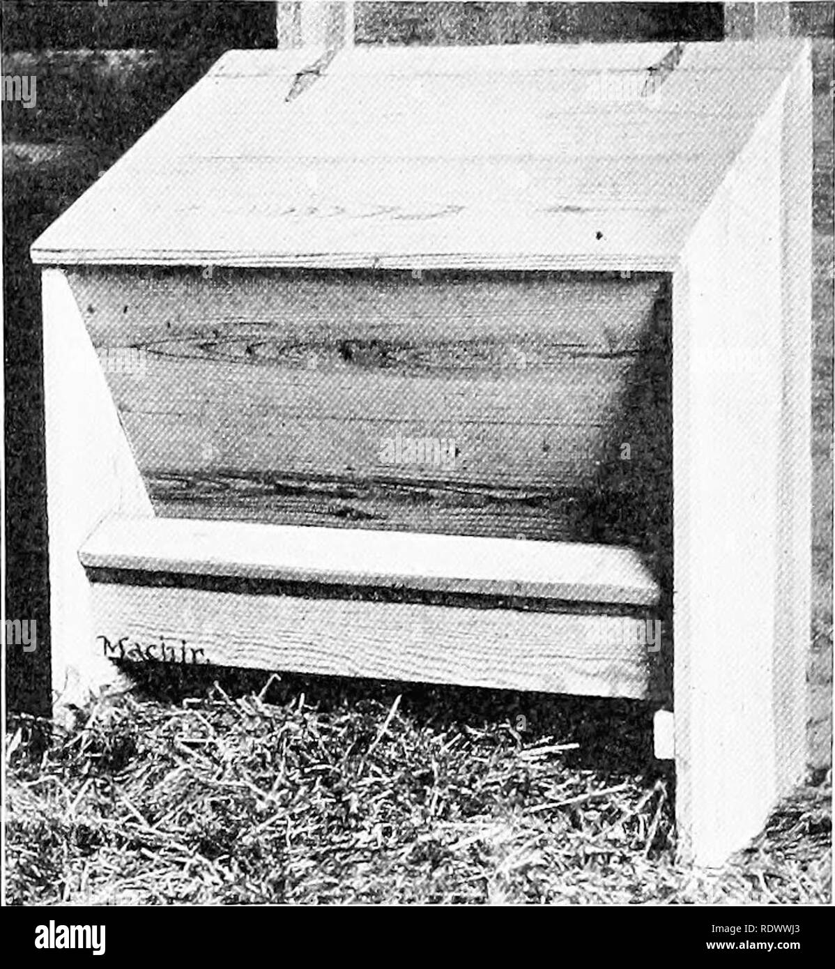 . La produzione di pollame. Il pollame. Alimentando PRATICHE E GLI APPARECCHI 400 Fig. 184. Il ShoHiua banic liopiJiT come nella figura 1S3 ni.riird f.jr tbi' lo"l" (..-a. (Courtesy of Kansas Ajiricultural Exijerinient ytation.) Fig. ISo. Si prega di notare che queste immagini vengono estratte dalla pagina sottoposta a scansione di immagini che possono essere state migliorate digitalmente per la leggibilità - Colorazione e aspetto di queste illustrazioni potrebbero non perfettamente assomigliano al lavoro originale. Lippincott, William Adams, 1882-1931; scheda, Leslie Ellsworth, 1893-. Philadelphia, Lea &AMP; Febiger Foto Stock