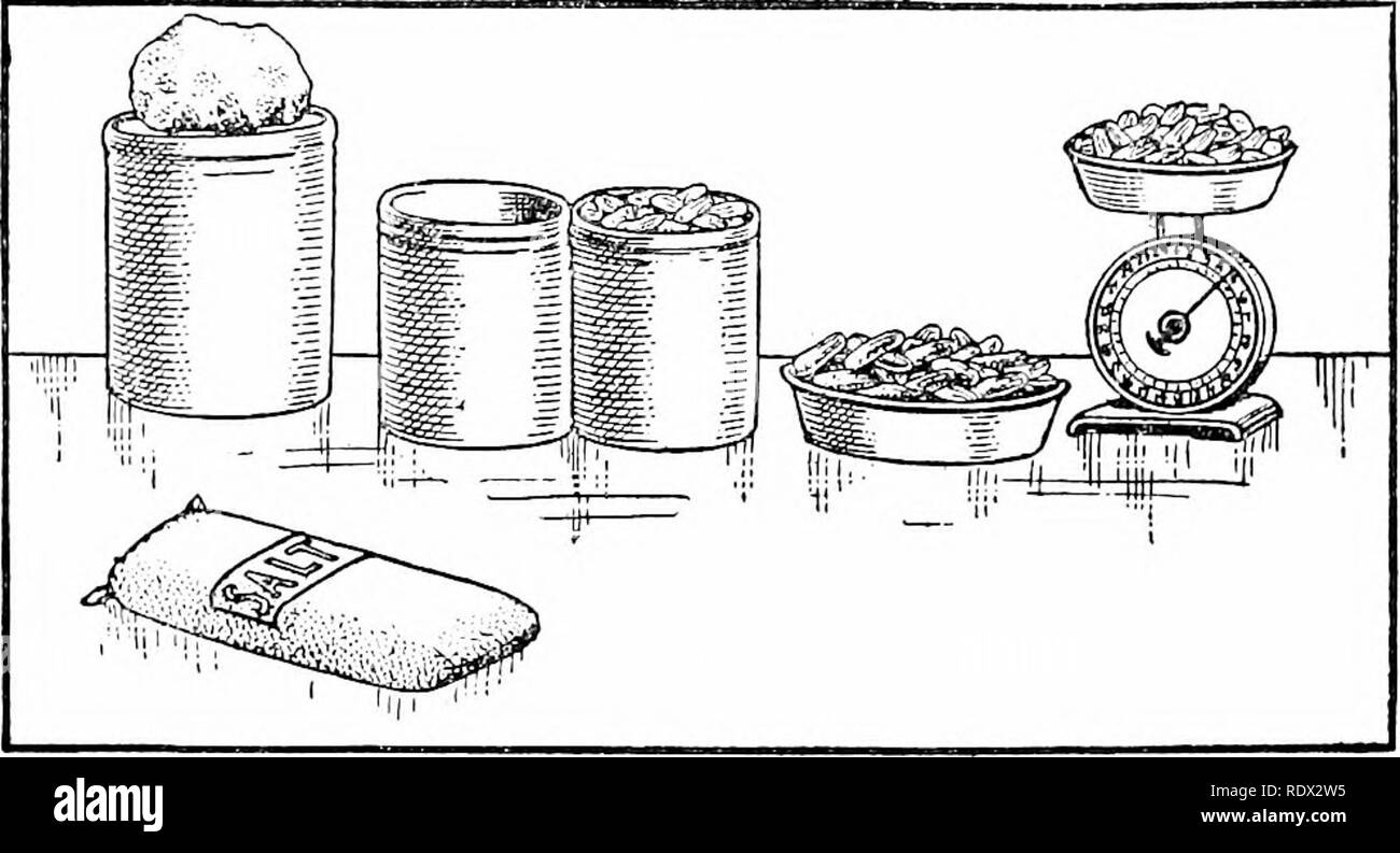 . Il giardino di guerra vittoriosa. Giardinaggio di vegetale; Guerra Mondiale, 1914-1918. Asciugare TUTTI I PRODOTTI ALIMENTARI CHE POSSONO ESSERE ESSICCATI 29 fermentazione la salatura e l'uso di soluzione salina nel preparare le verdure per uso invernale fias molto a raccomandare alla famiglia. Il metodo di fermentazione è di uso generale in Europa e sta diventando sempre più noto in questo paese come un mezzo per rendere agro-crout e di altri prodotti alimentari che non richiedono i contenitori utilizzati per la produzione di conserve. La cucina non è richiesta da questo processo. Salamoia di sale è un requisito. Il prodotto può essere conservato in un qualsiasi contenitore che non è realizzata in materiale metallico ed è a tenuta stagna. T Foto Stock