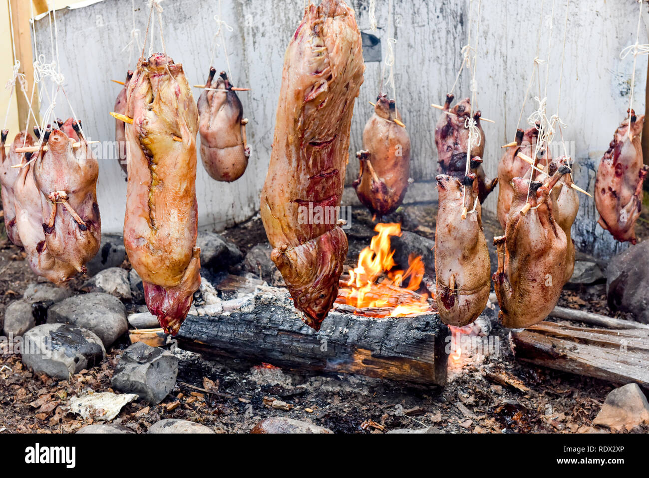 Carne di selvaggina per la cottura su un fuoco, comunità native, nortthern quebec , Canada Foto Stock