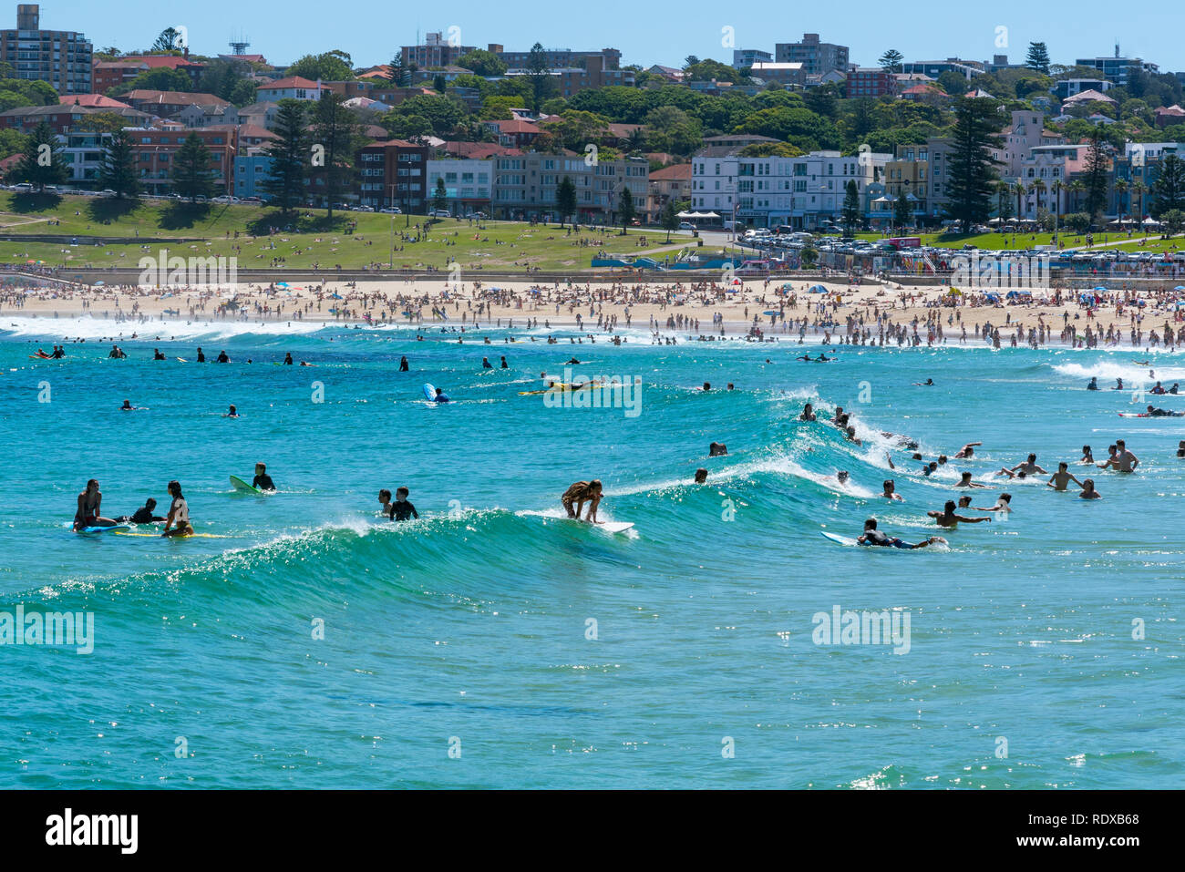 Surfers di prendere onde sulla spiaggia Bondi acqua in Sydney NSW Australia Foto Stock