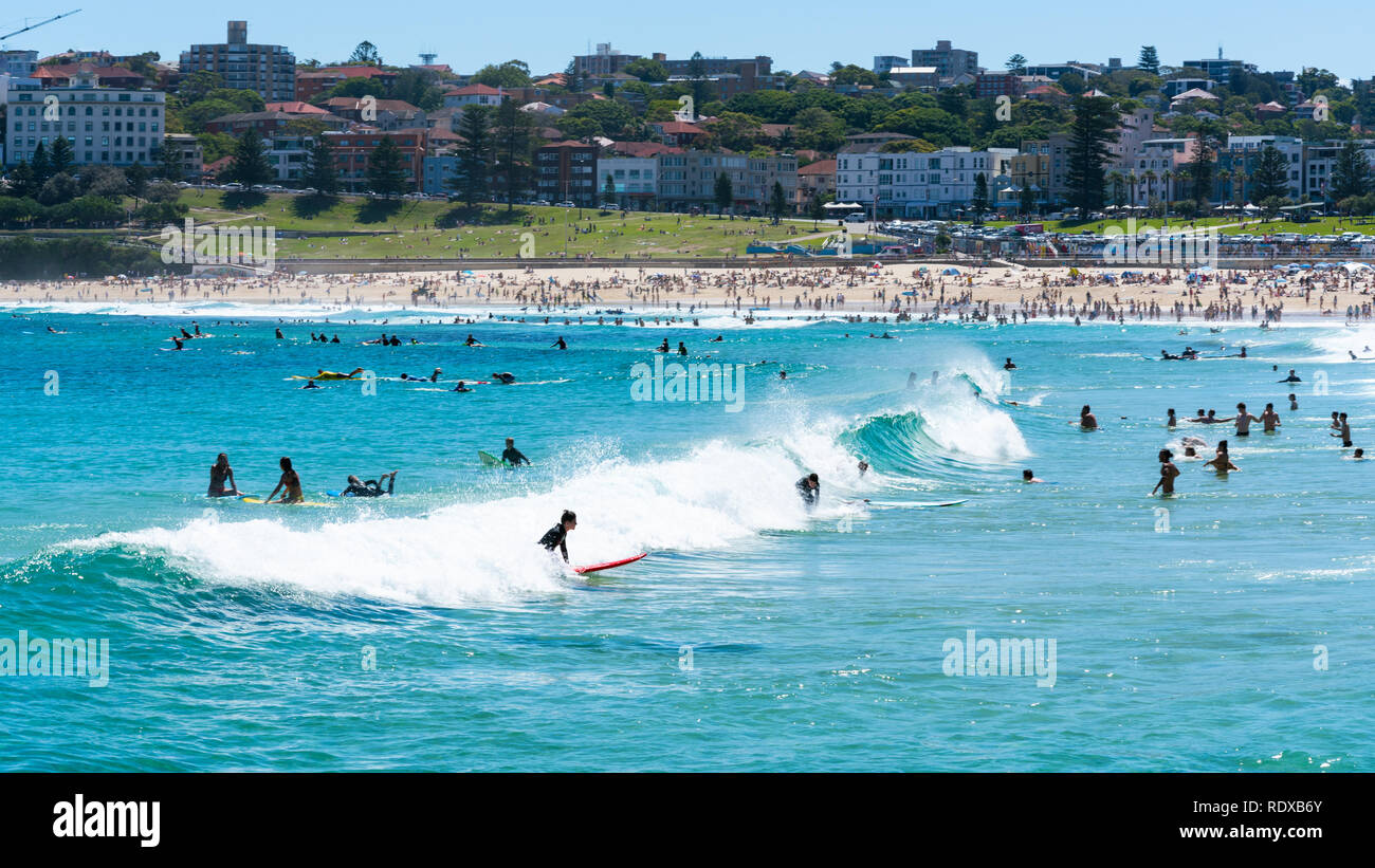 Surfers di prendere onde sulla spiaggia Bondi acqua in Sydney NSW Australia Foto Stock