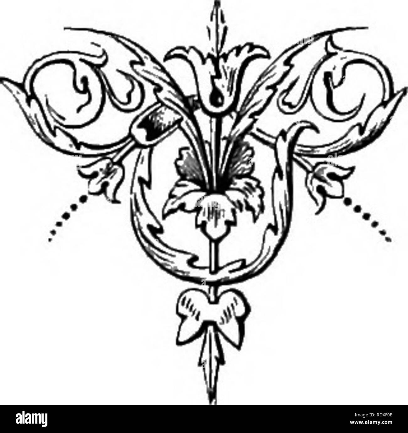 . Le avventure di un giovane naturalista. Storia naturale. .4 giovane naturalista. 17 del Cavallo morente piedi di distanza in distanza. Finalmente ha sollevato un plaintive howl e iniziato nel perseguimento. Sorpreso di non vedere I'Encuerado, ho rivolto indietro, fancying fosse rimasto dietro. Mi aspettavo di vedere lui compaiono quando Sumichrast scoppiato a ridere. A una svolta della strada aveva catturato una vista del cavaliere, con il cane su un lato e l'indiana da altri che, a dispetto del suo carico, mantenuta senza difficoltà. Questo feat sulla parte del mio servo non ha molto sorpresa di me, perché io non credo che nel Foto Stock