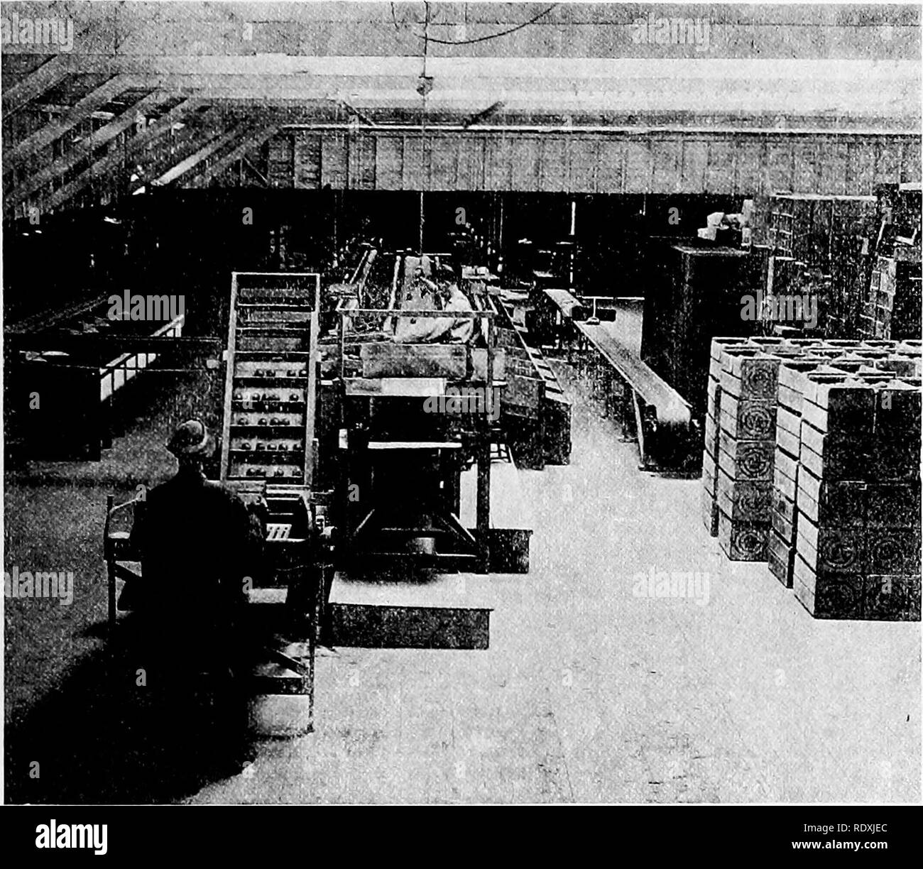 . Orticoltura; un libro di testo per le scuole superiori e Normals. Il giardinaggio; giardinaggio di vegetale; frutti-coltura. Pompelmo 283 America. È leggermente amaro nel gusto e per questo motivo non è così popolare come la orange per una colazione o un dessert di frutta. Il nome deriva dal fatto che i frutti possono essere sostenuti in cluster che assomiglia a un grappolo di uva. Gli alberi sono belli e simmetrica e recare frutto per molti anni. Essi sono propagati da germogliare la maggior parte hardy stock. Maiale. 198.-interno di un imballaggio arancione, casa Highland, Cal. Tramoggia e spazzole sono utilizzati per la frutta sporca. Tutta la frutta è classificato Foto Stock